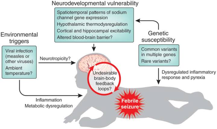 what-to-do-when-a-child-is-convulsing-common-false-beliefs-air-clinic