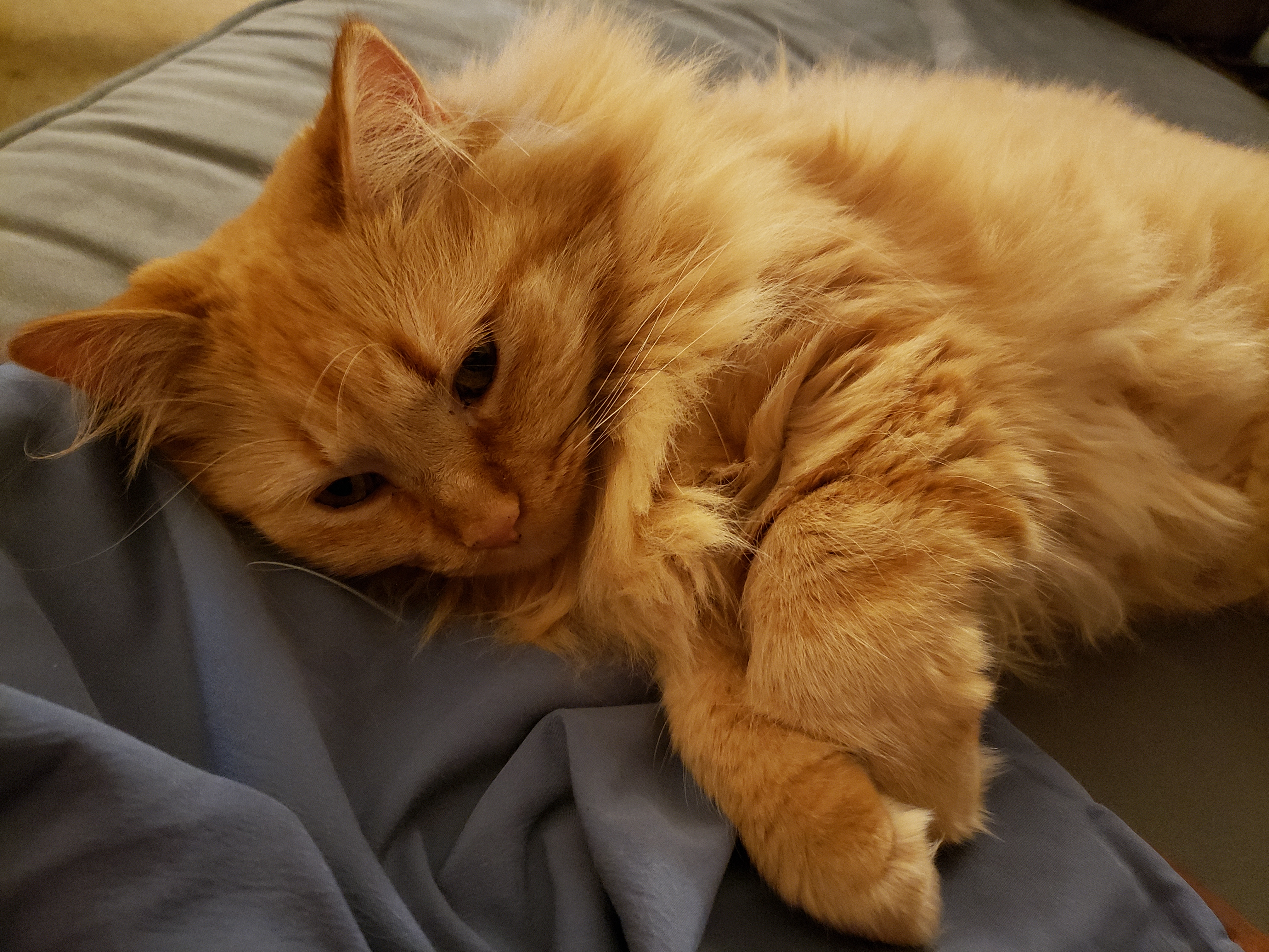 20180831_224551.jpg