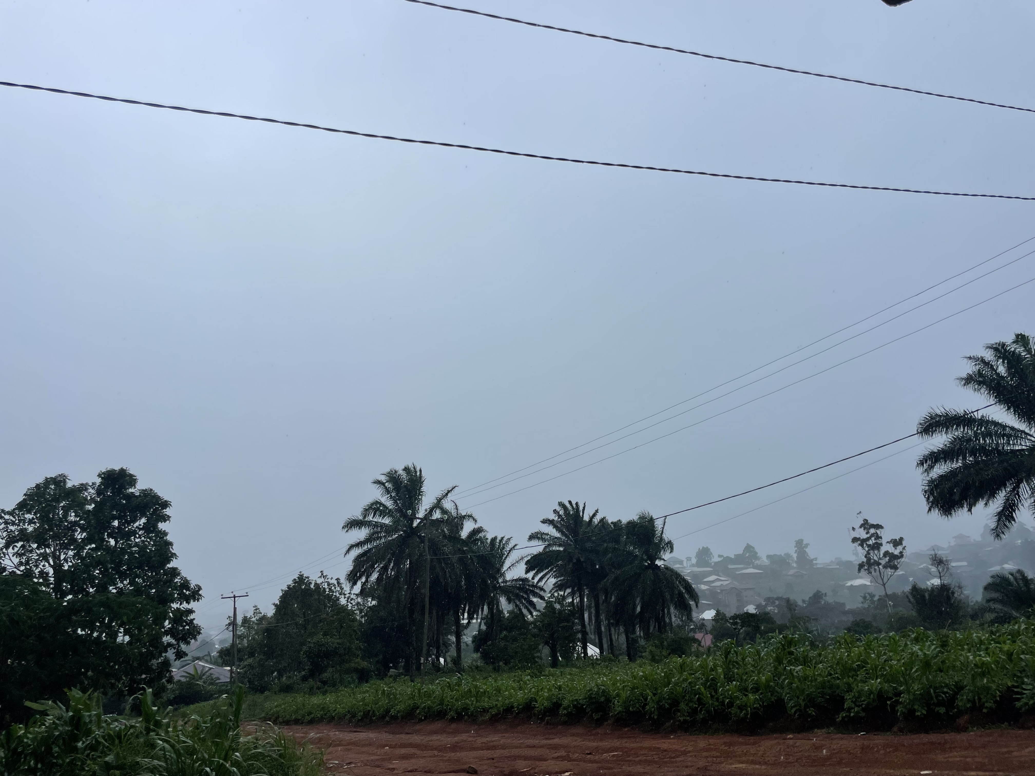 IMG_7471.jpeg