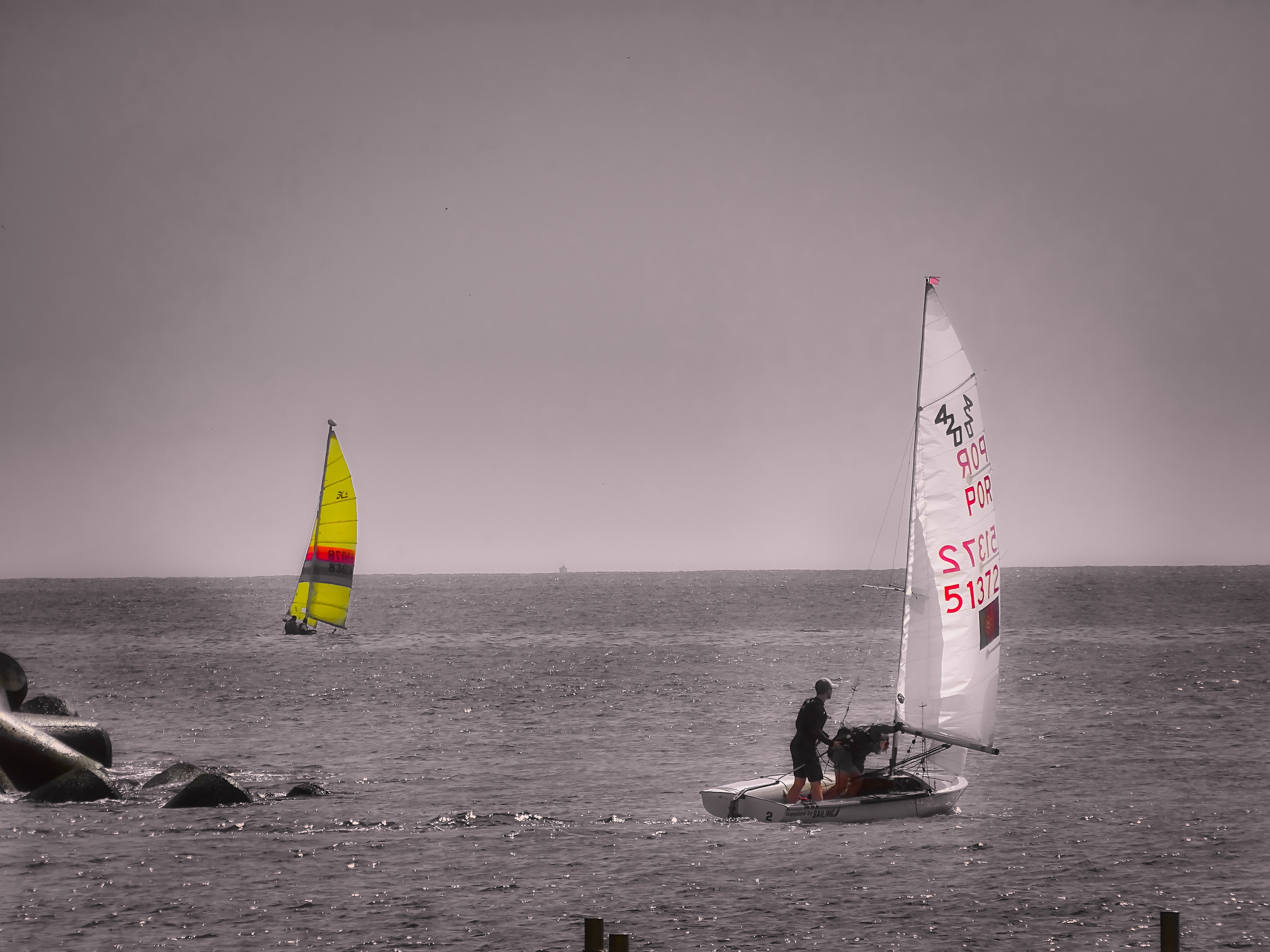 DSC07910_1 (2).jpg
