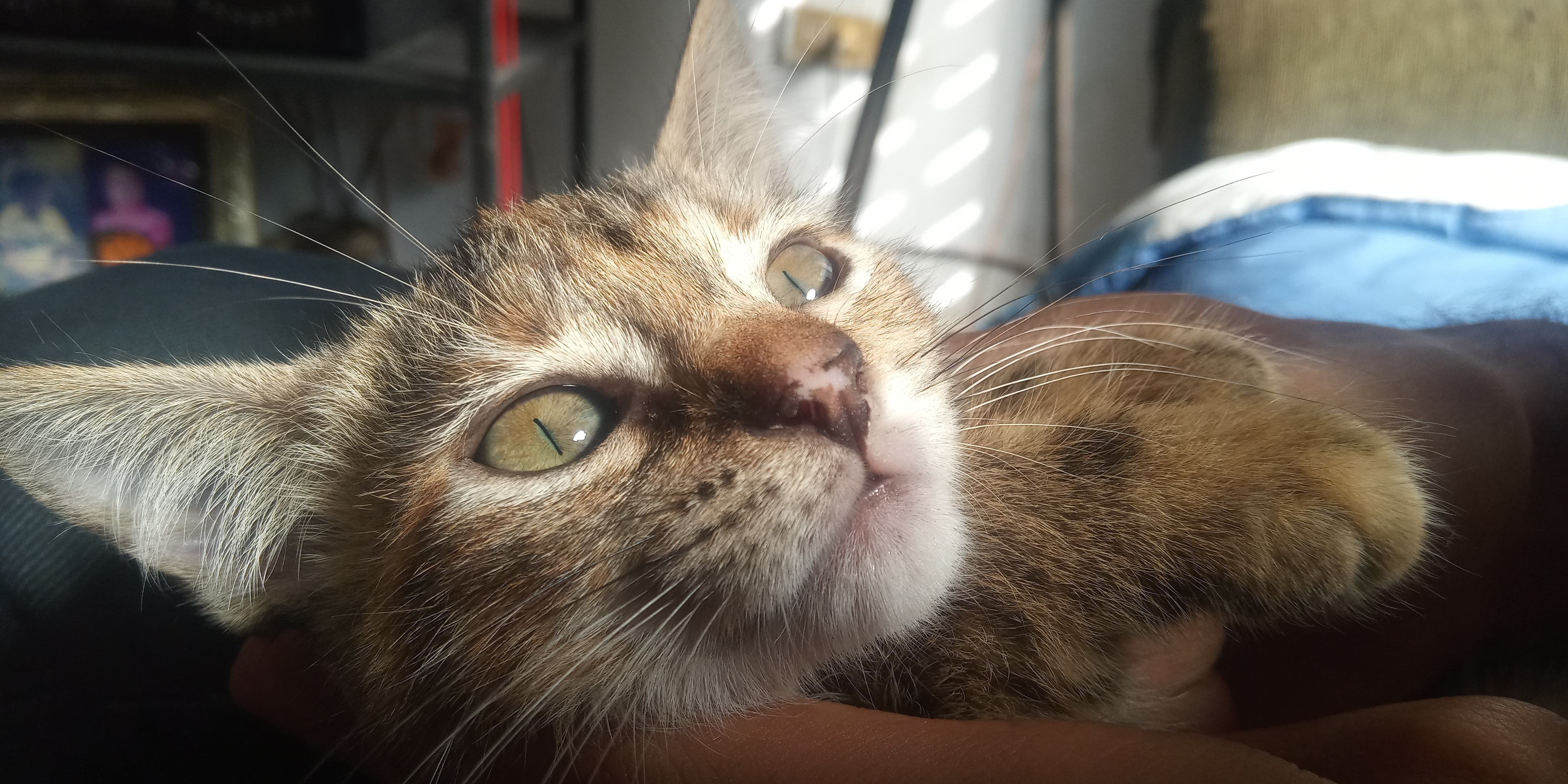 20201213_100218.jpg