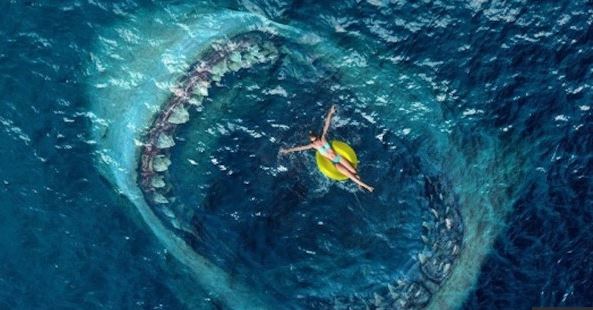 The Meg 2.JPG