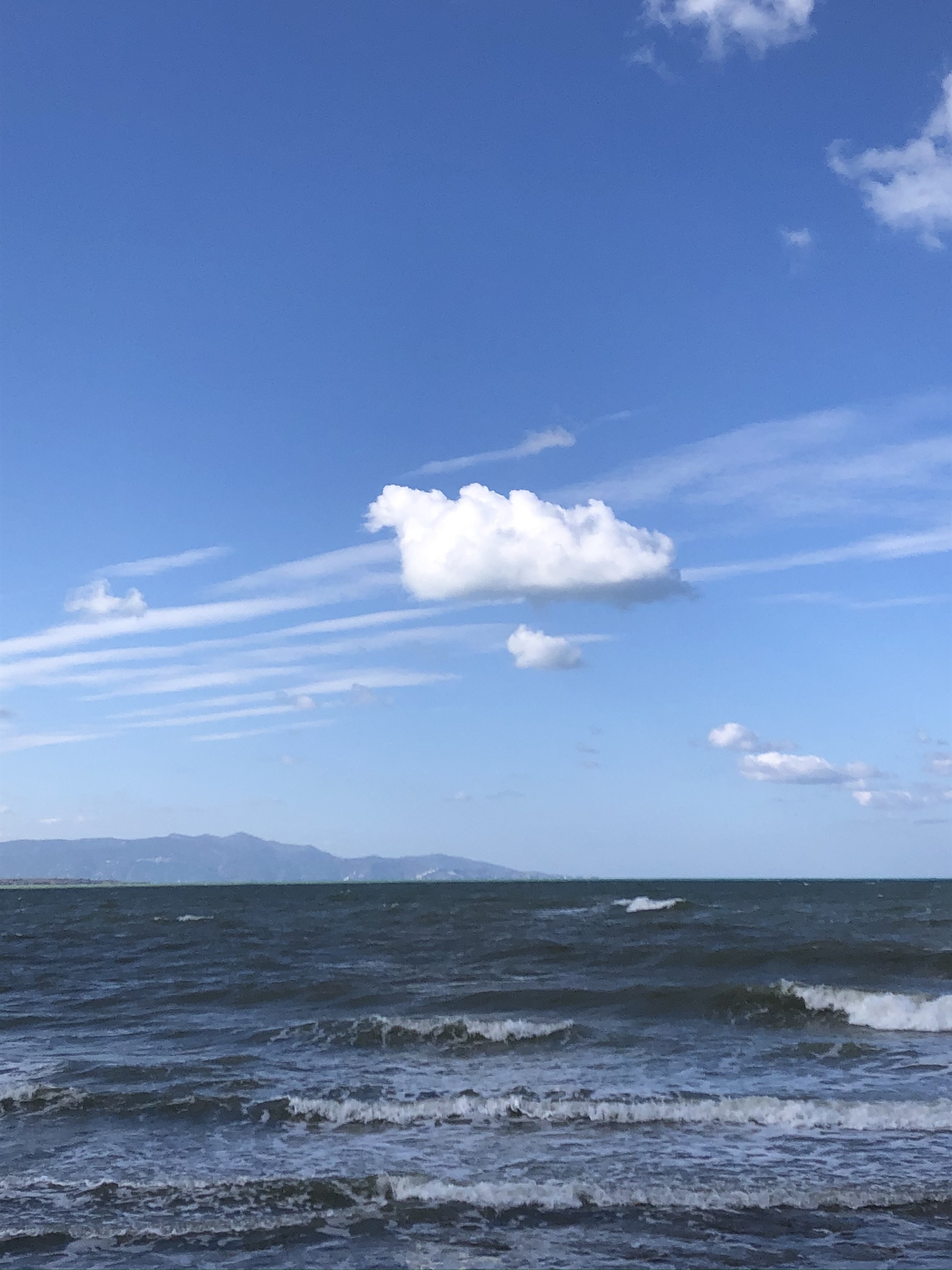 IMG_0065.jpeg