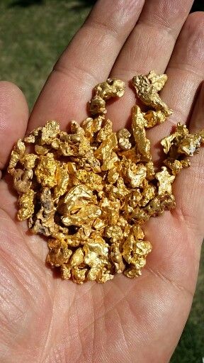 pepitas de oro..jpg