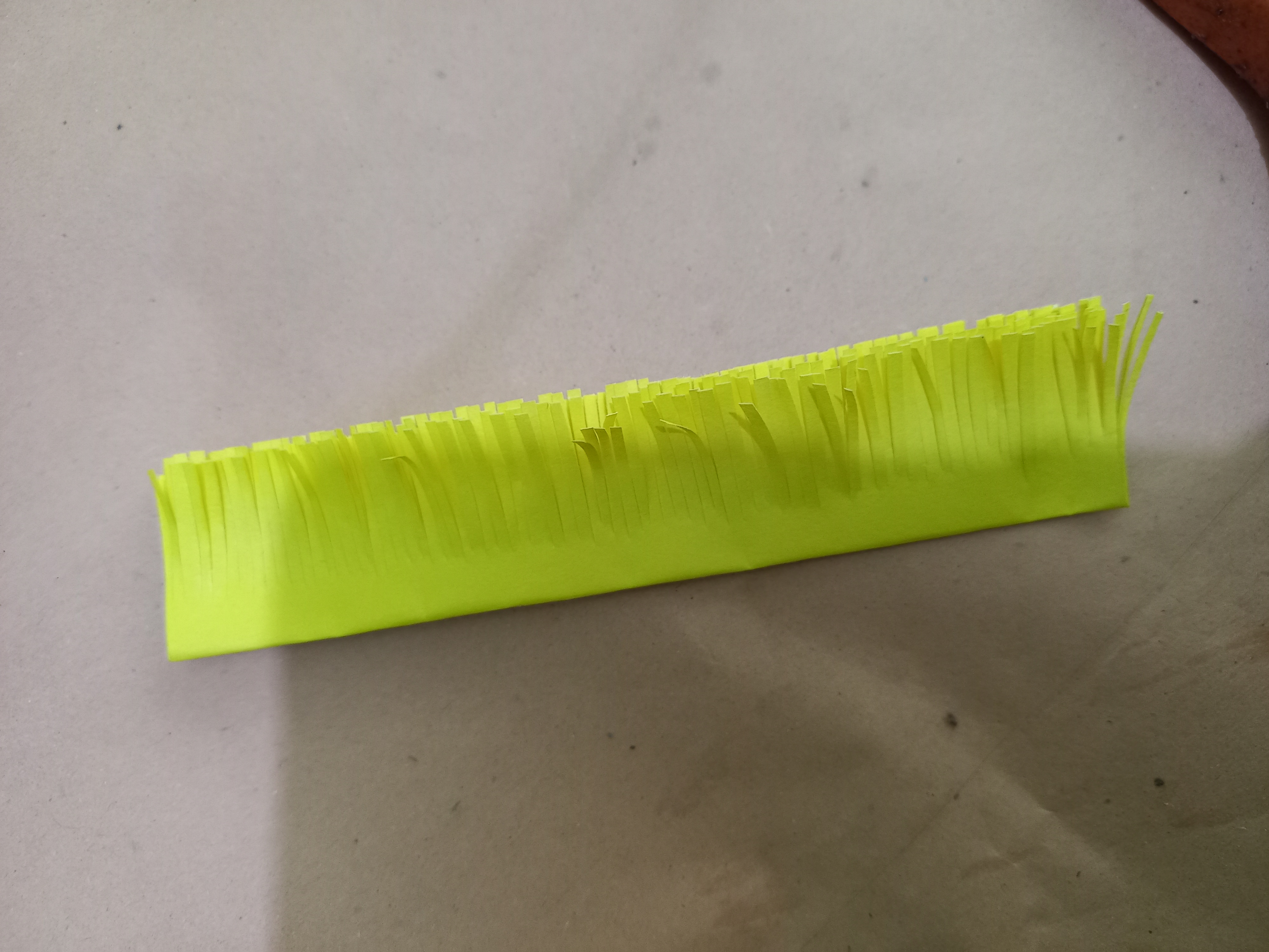 20220126_113236.jpg