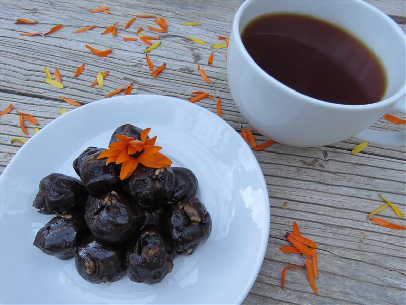 Carob 1.JPG