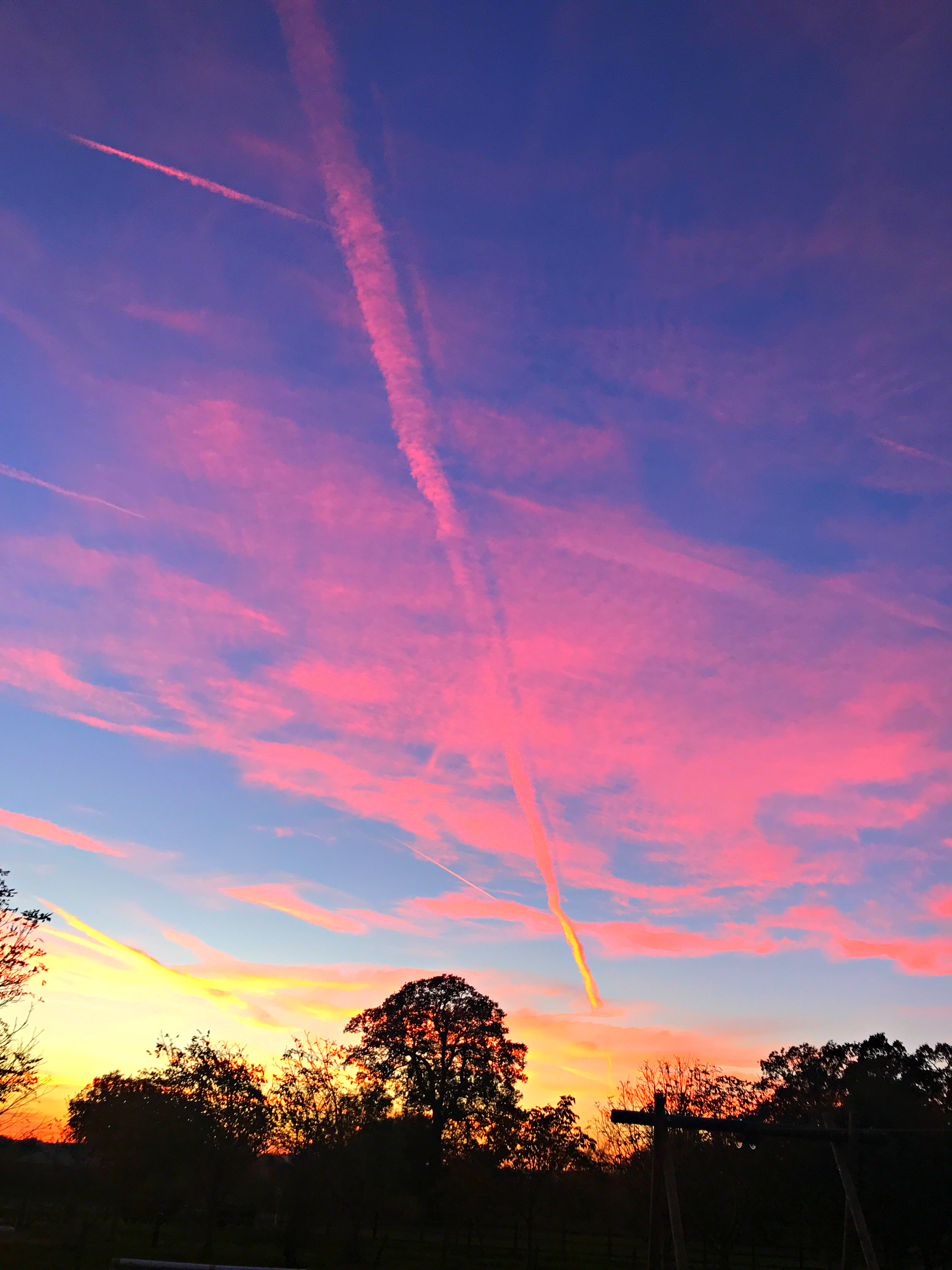 243FAA6B-505F-4DB5-BE74-49E049FE784C.JPEG
