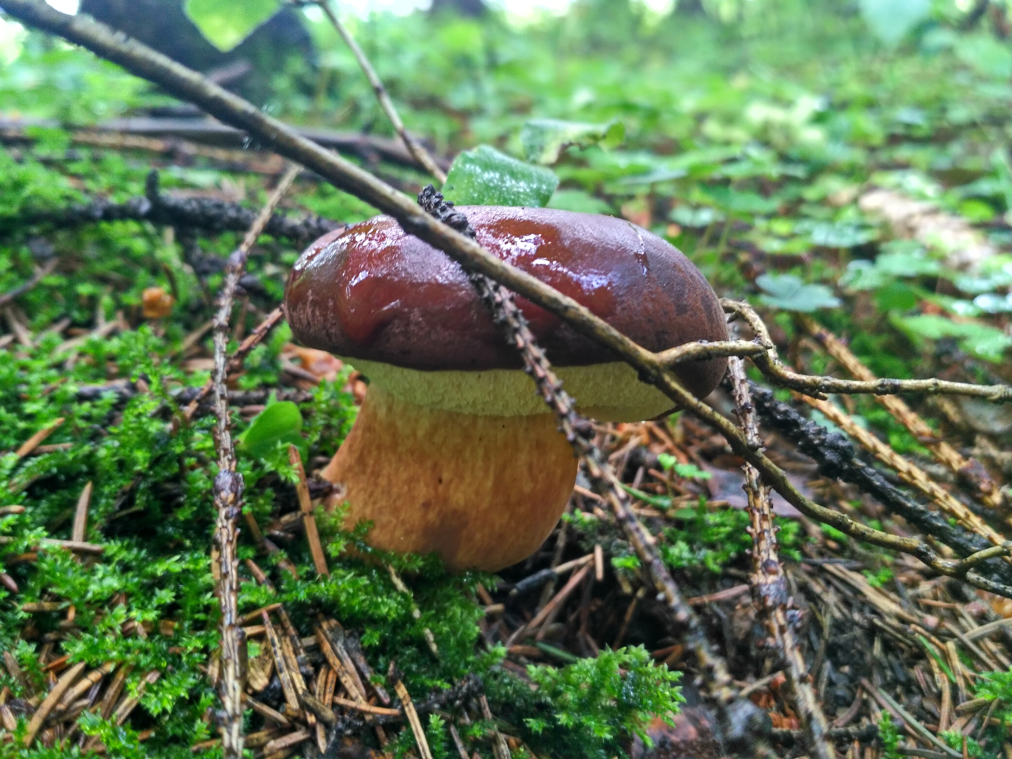 IMG_2019-07-25_110932_HDR.jpg