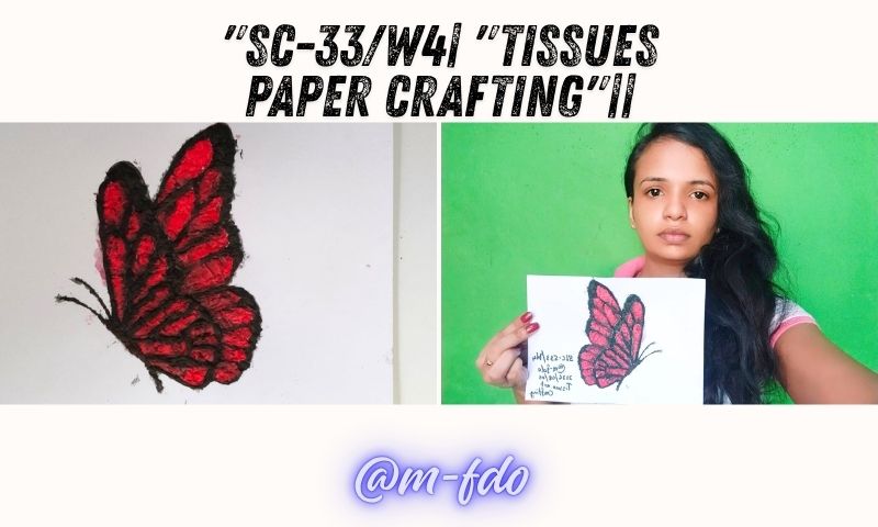 SC-33W4 Tissues paper crafting.jpg