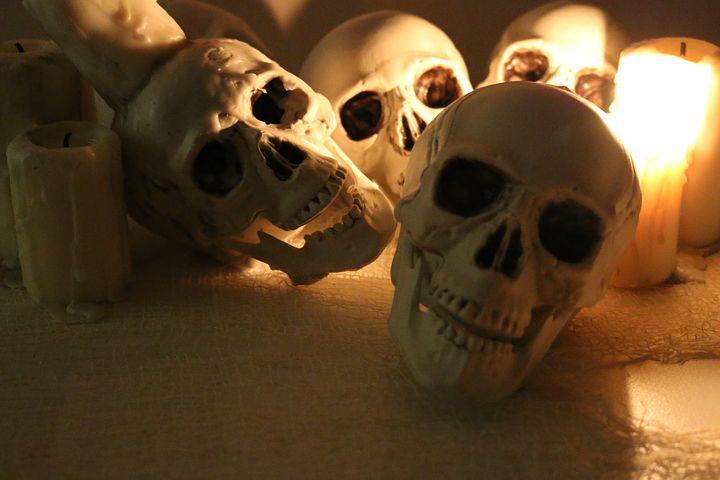 skulls-3750279__480.jpg