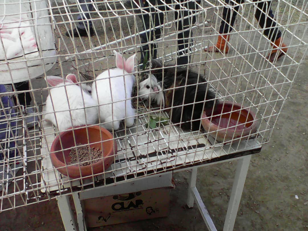 IMG-20190206-WA0014.jpg