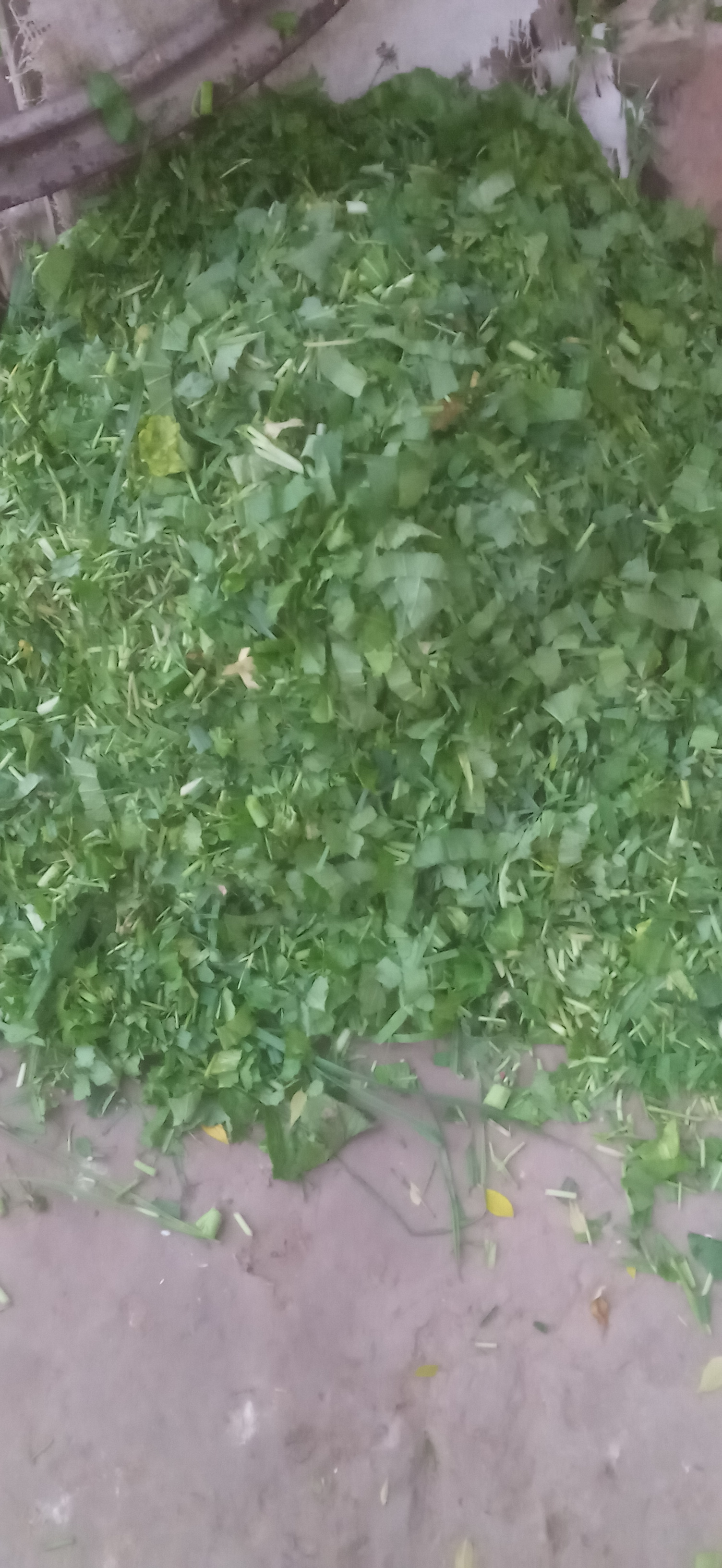 IMG20231122171254.jpg