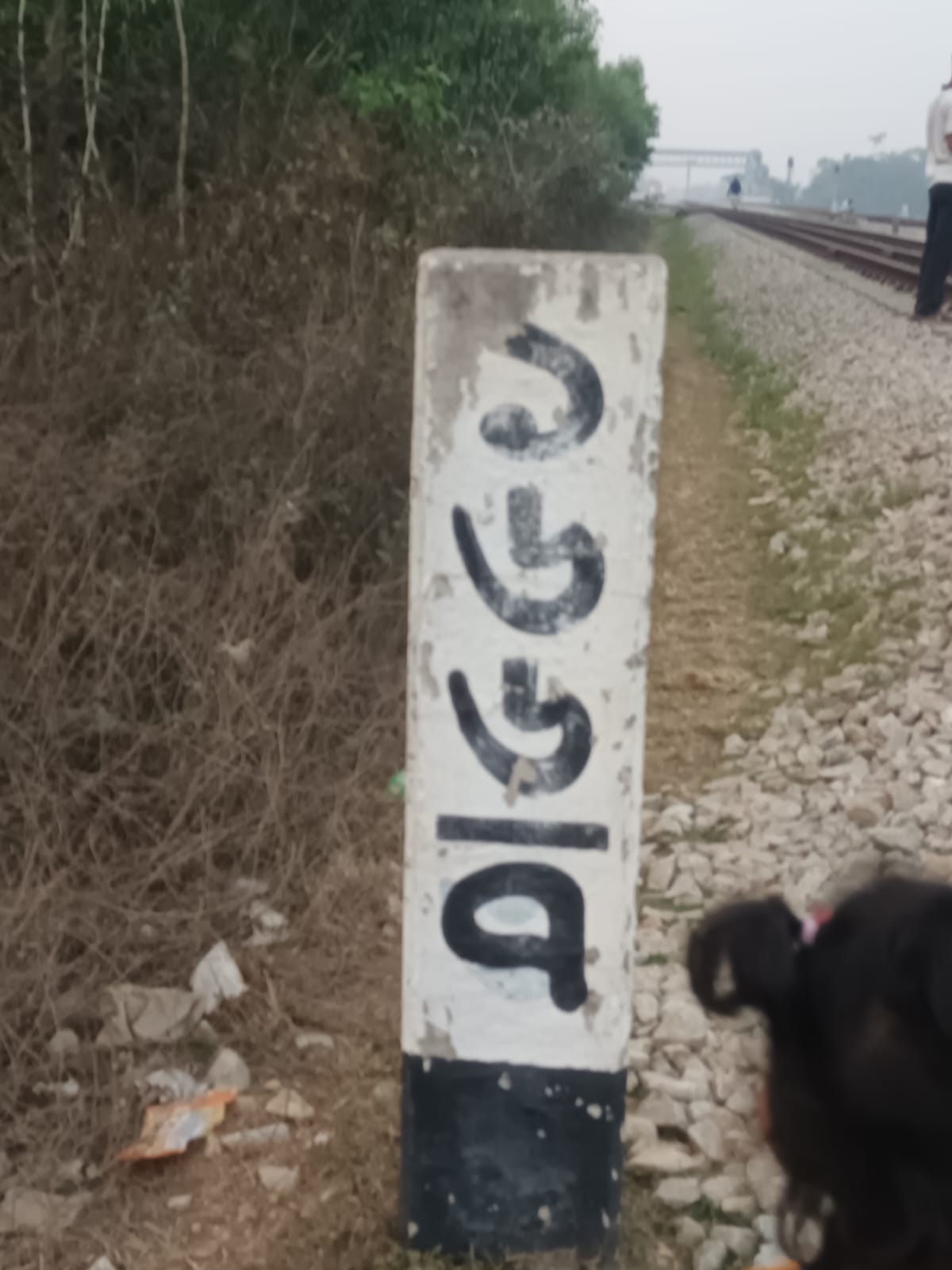 1000021413.jpg