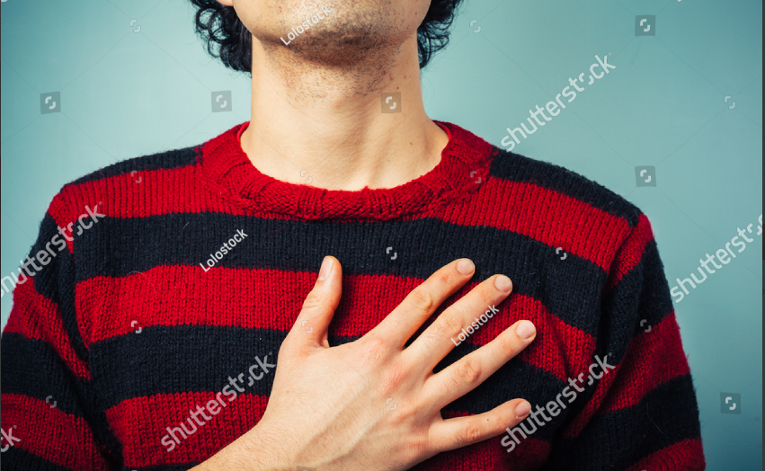 hon4.png
