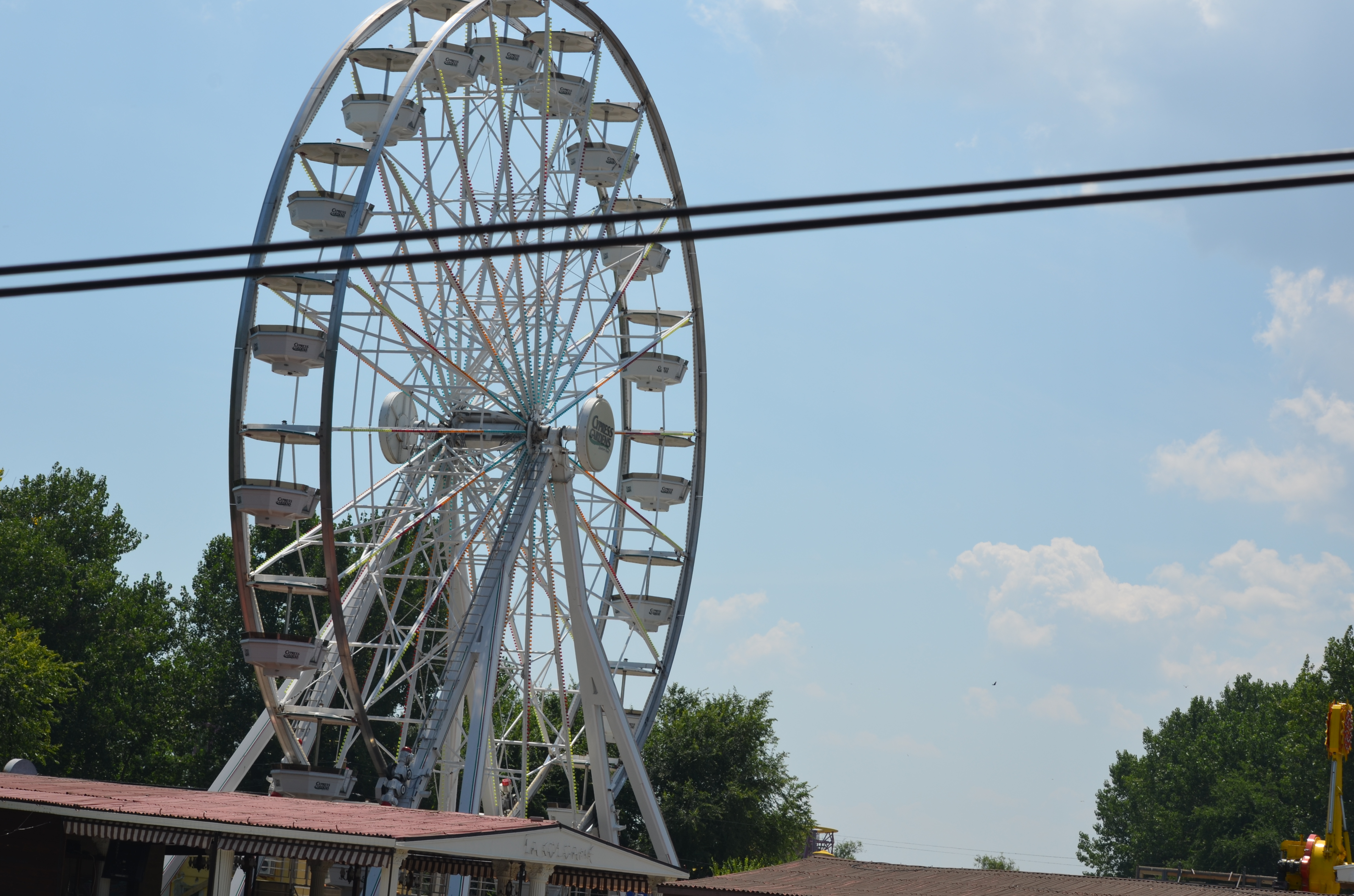 DSC_0737.JPG
