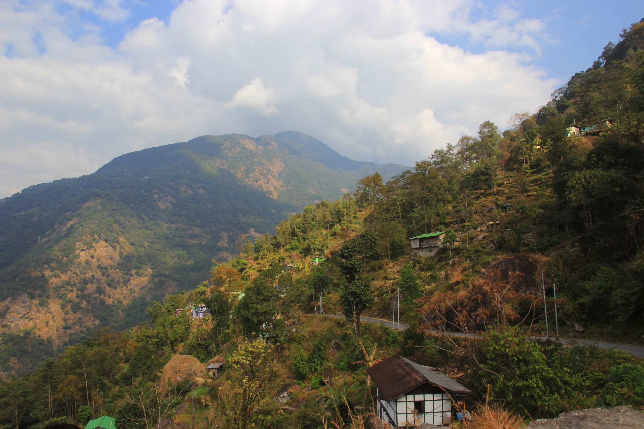 IMG_9885_resize_83.jpg