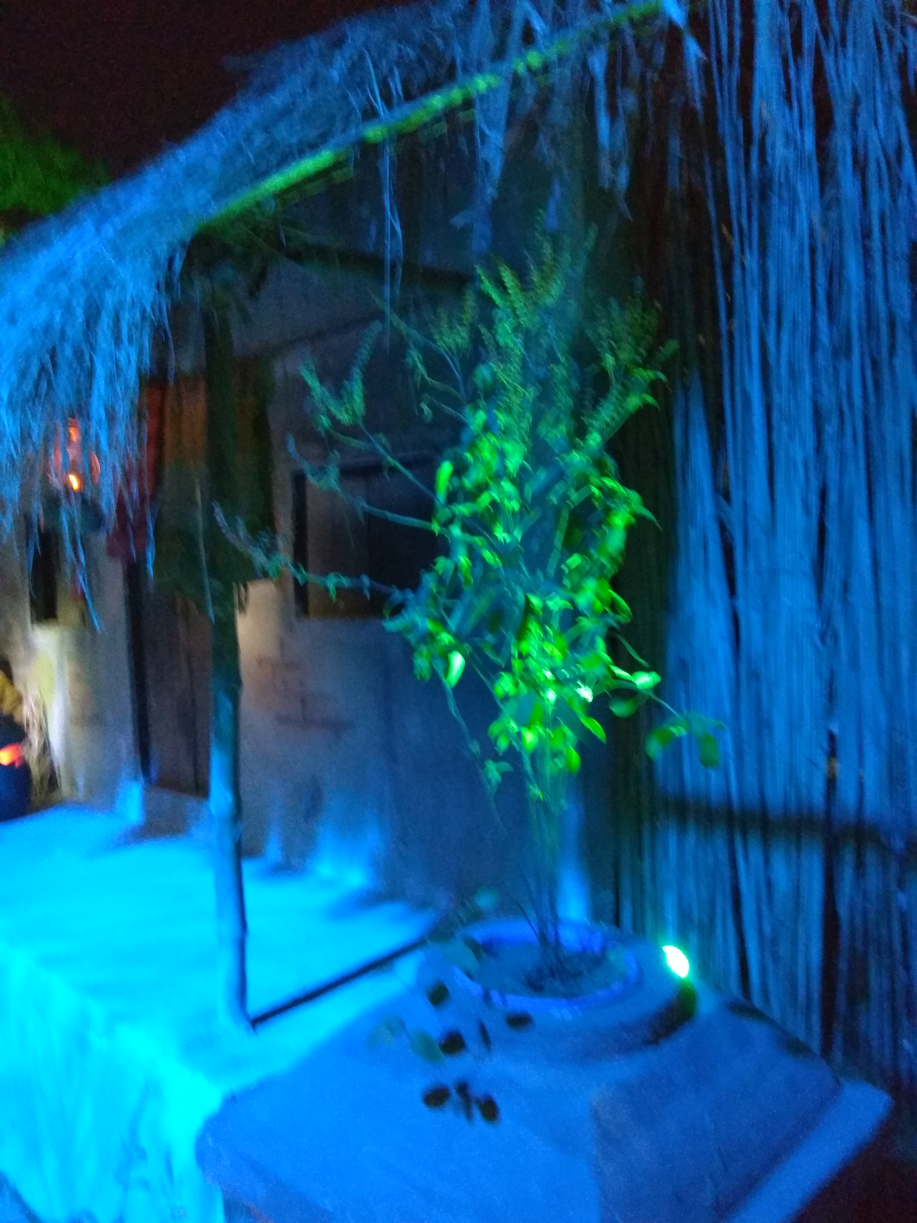 IMG_20181108_000834.jpg