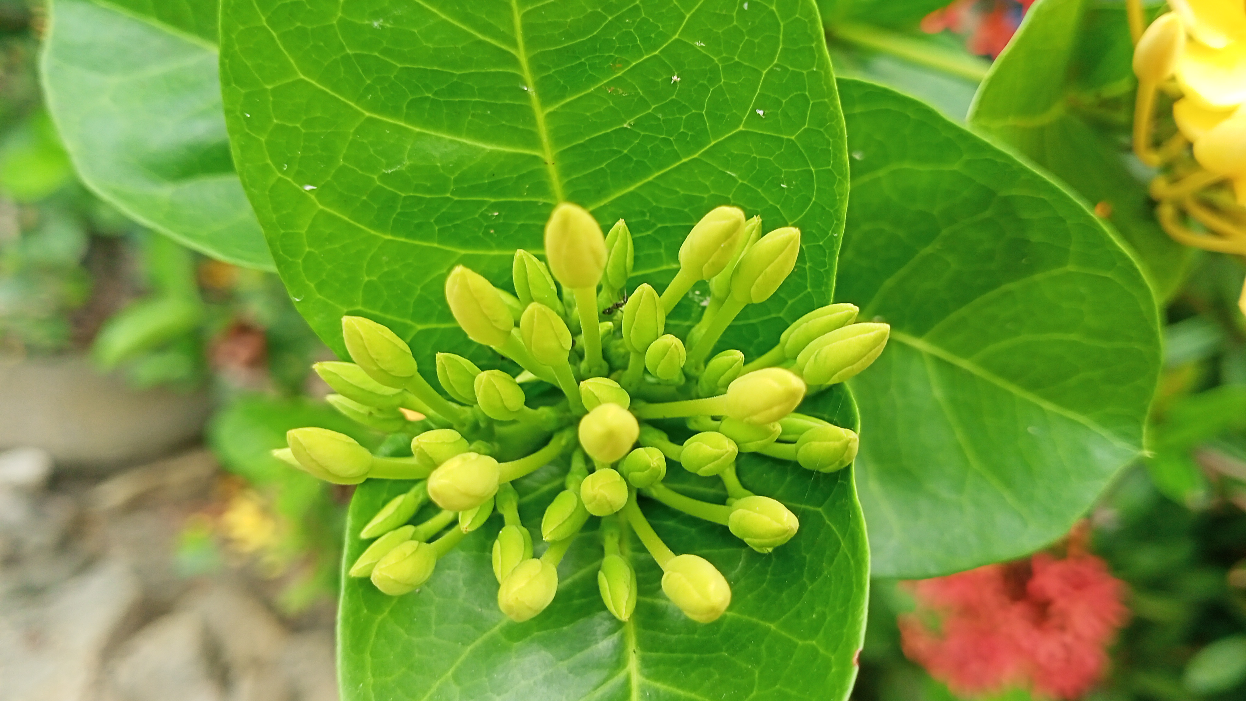 IMG20250520105243.jpg
