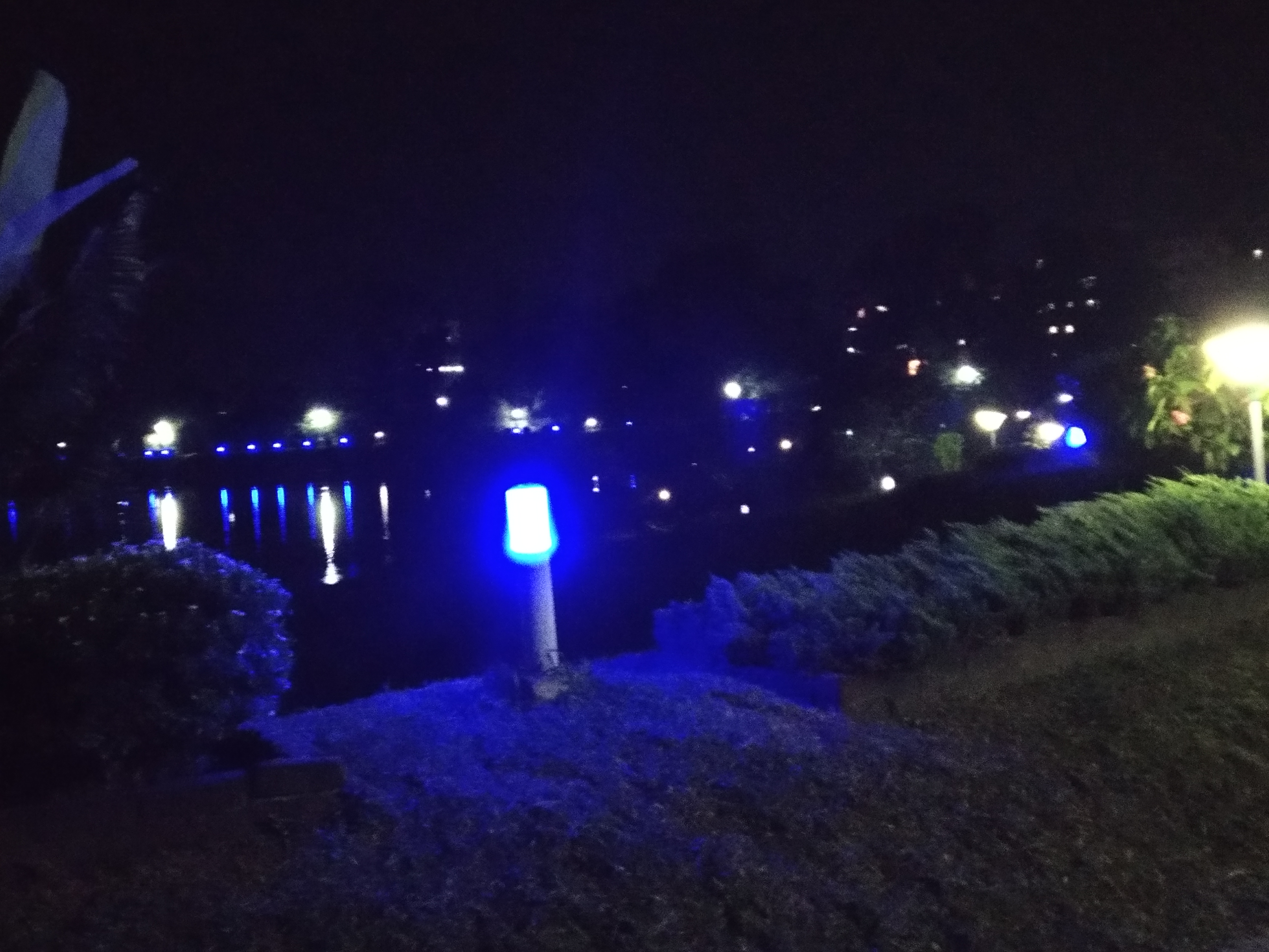 IMG_20200902_193933.jpg