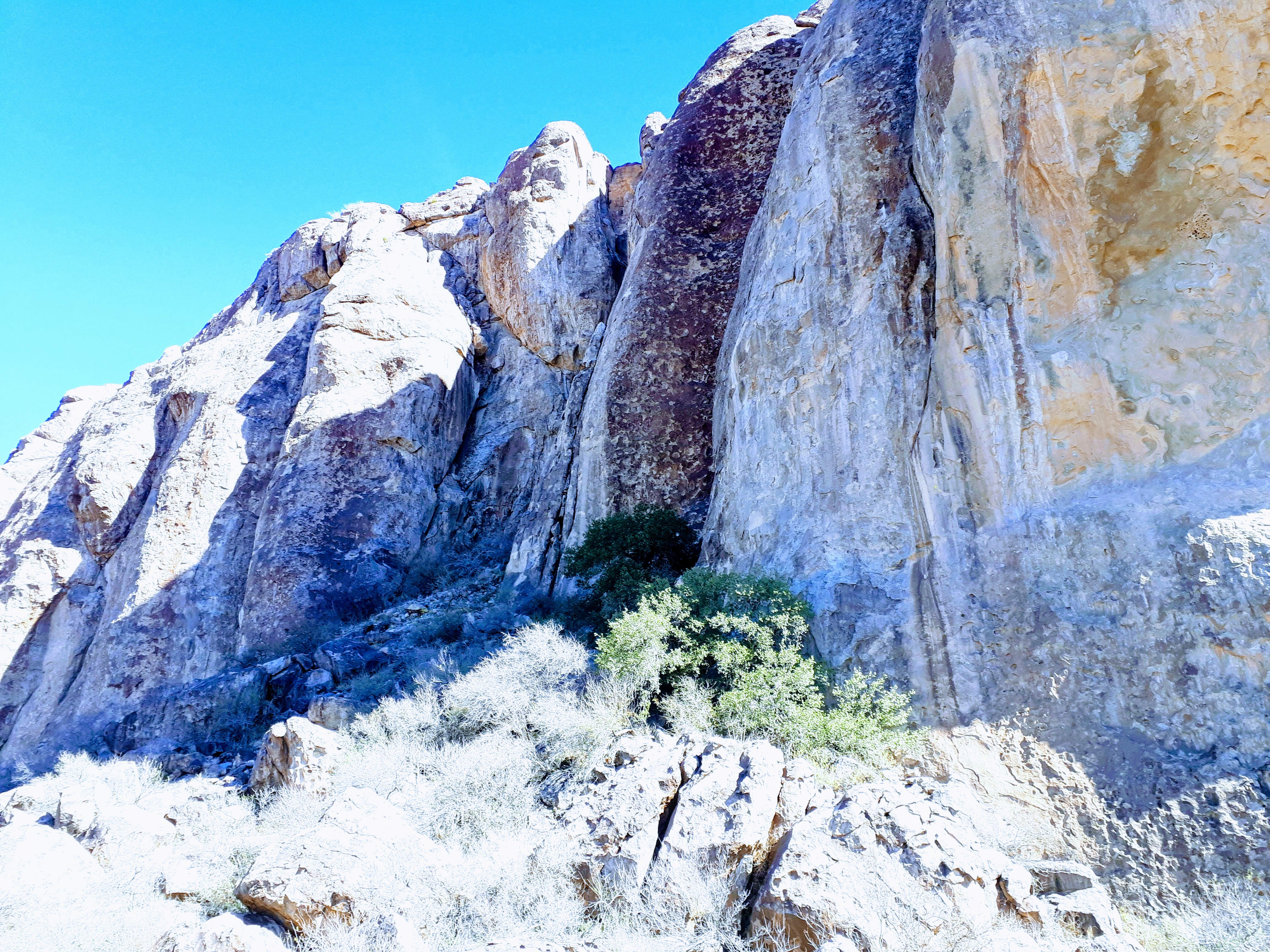 20190128_124513-EFFECTS.jpg