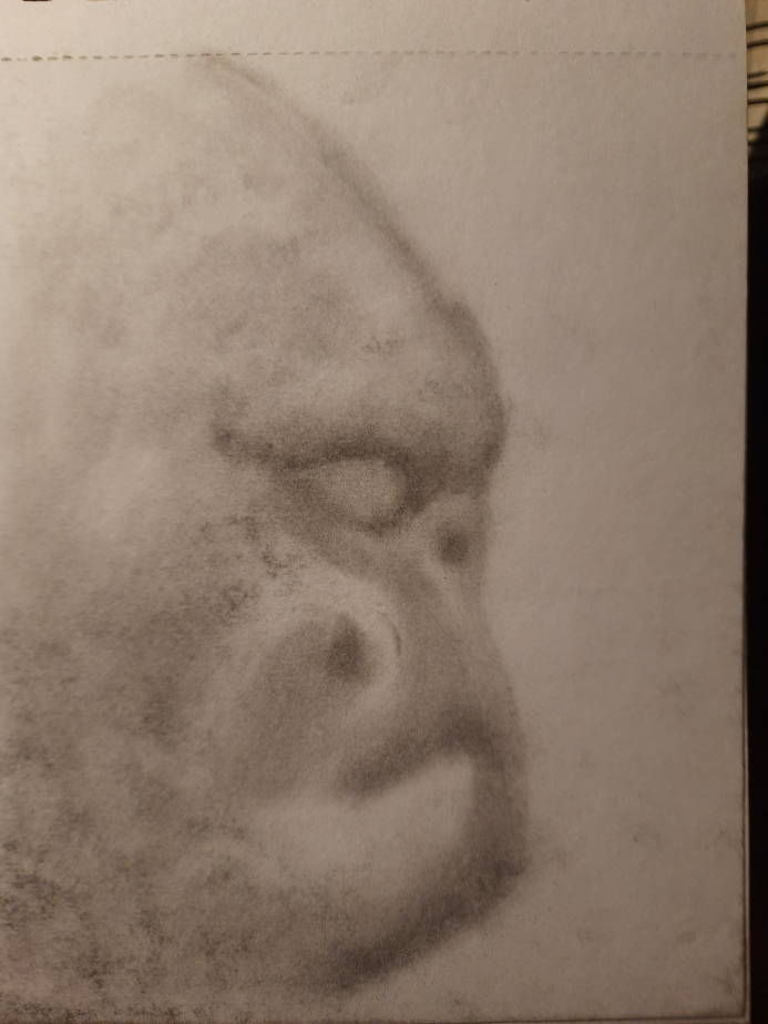 20260520_101412.jpg