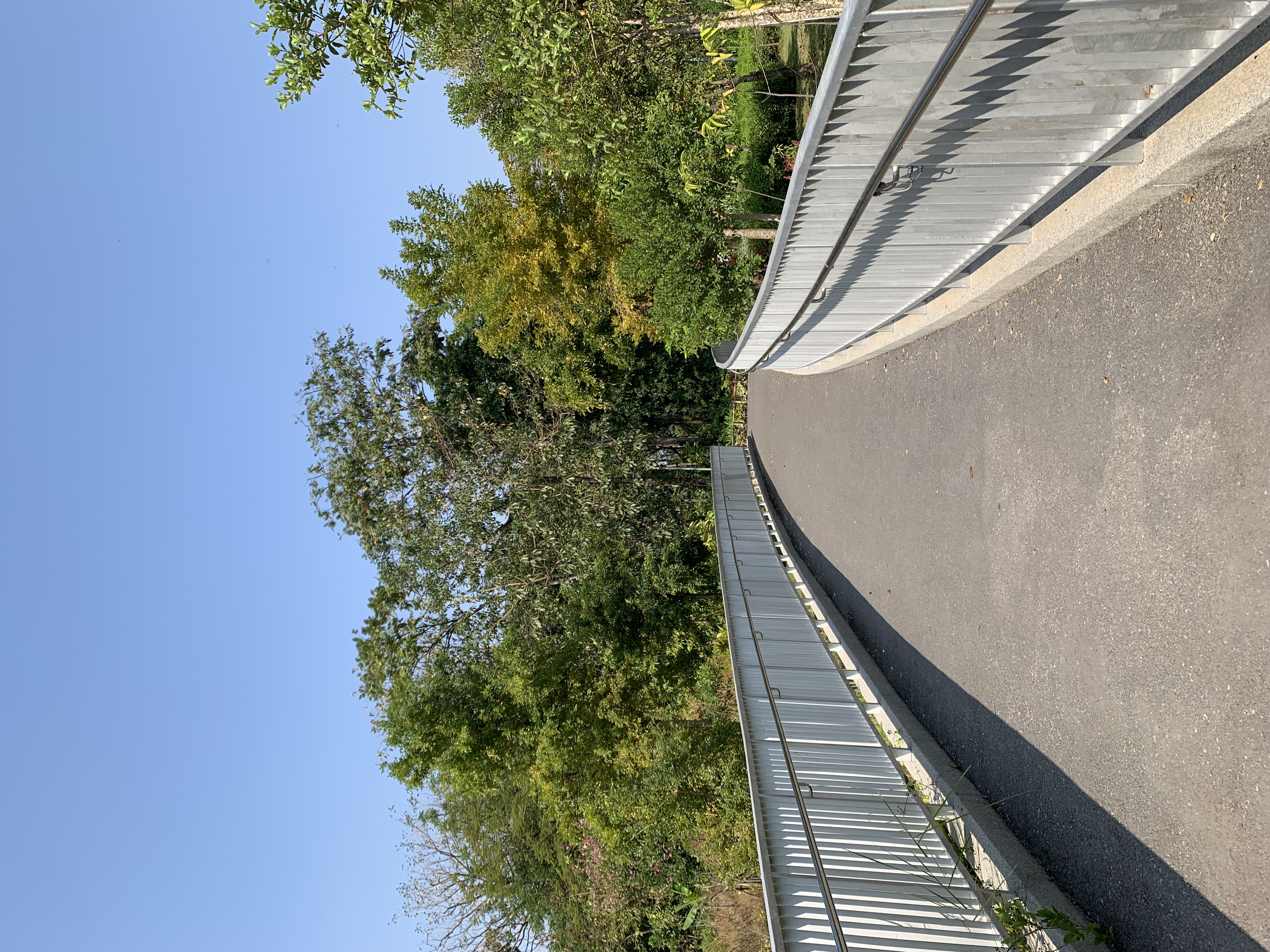 Queen Sirikit Park18.jpg