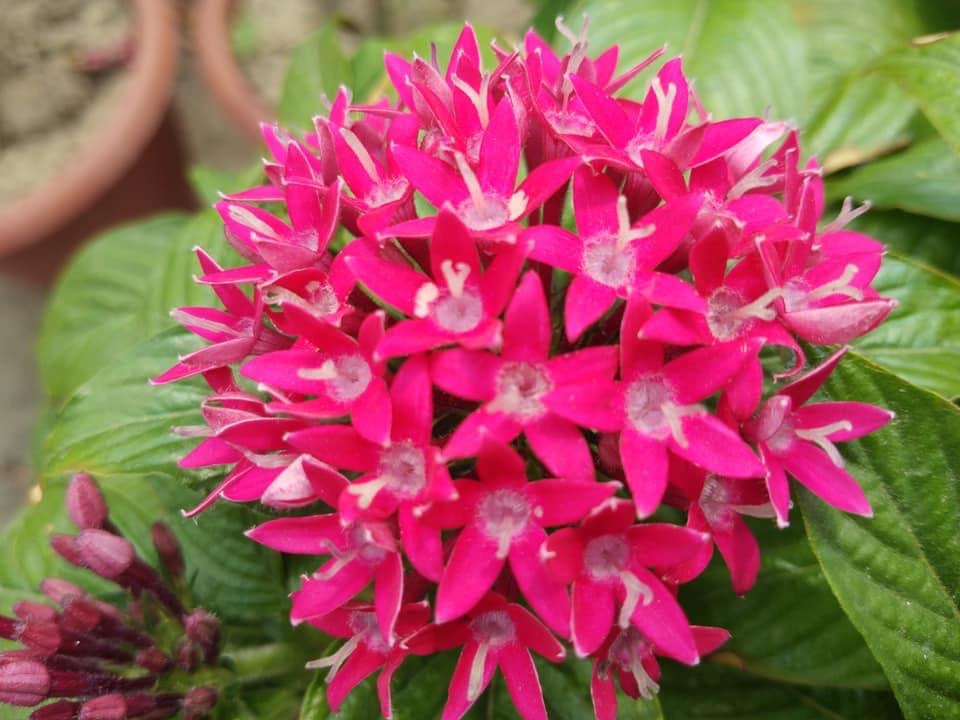 46F71F1A-82D2-4BA4-ADD7-7090D44F8A9D.jpeg