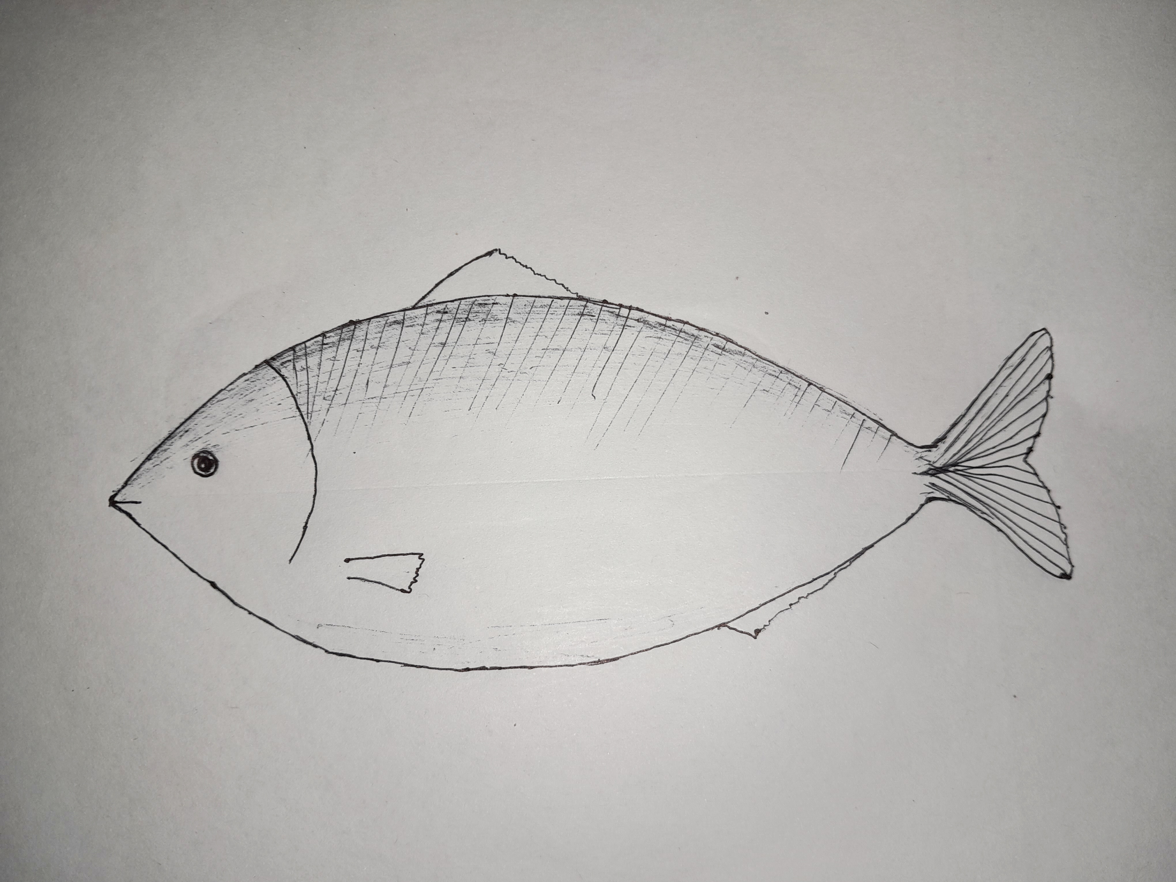Easy Fish Coloring Page | Easy Drawing Guides