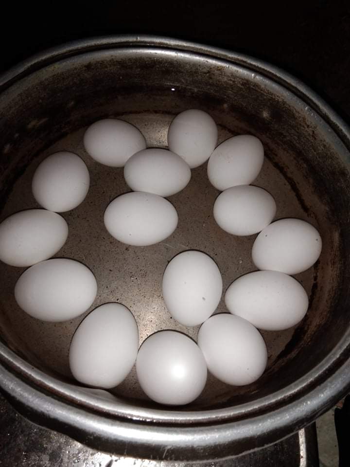 received_313963427127863.jpeg