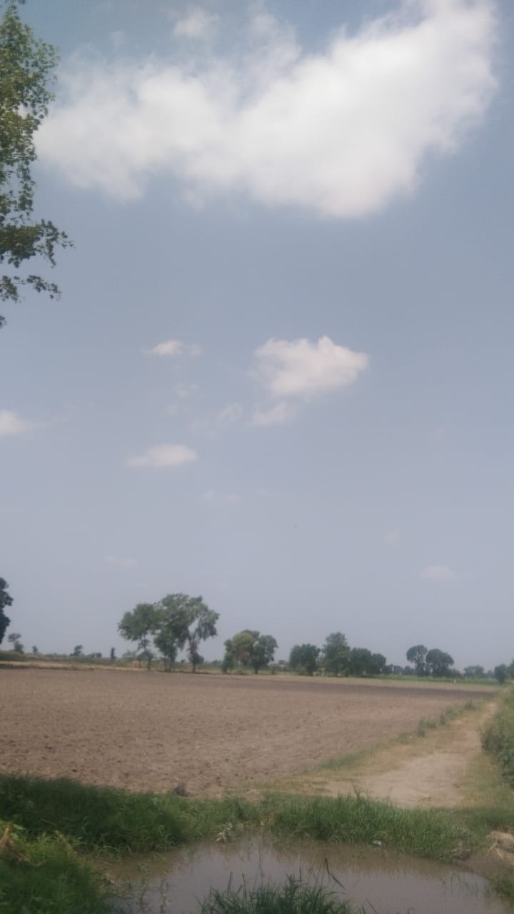 IMG-20210616-WA0117.jpg