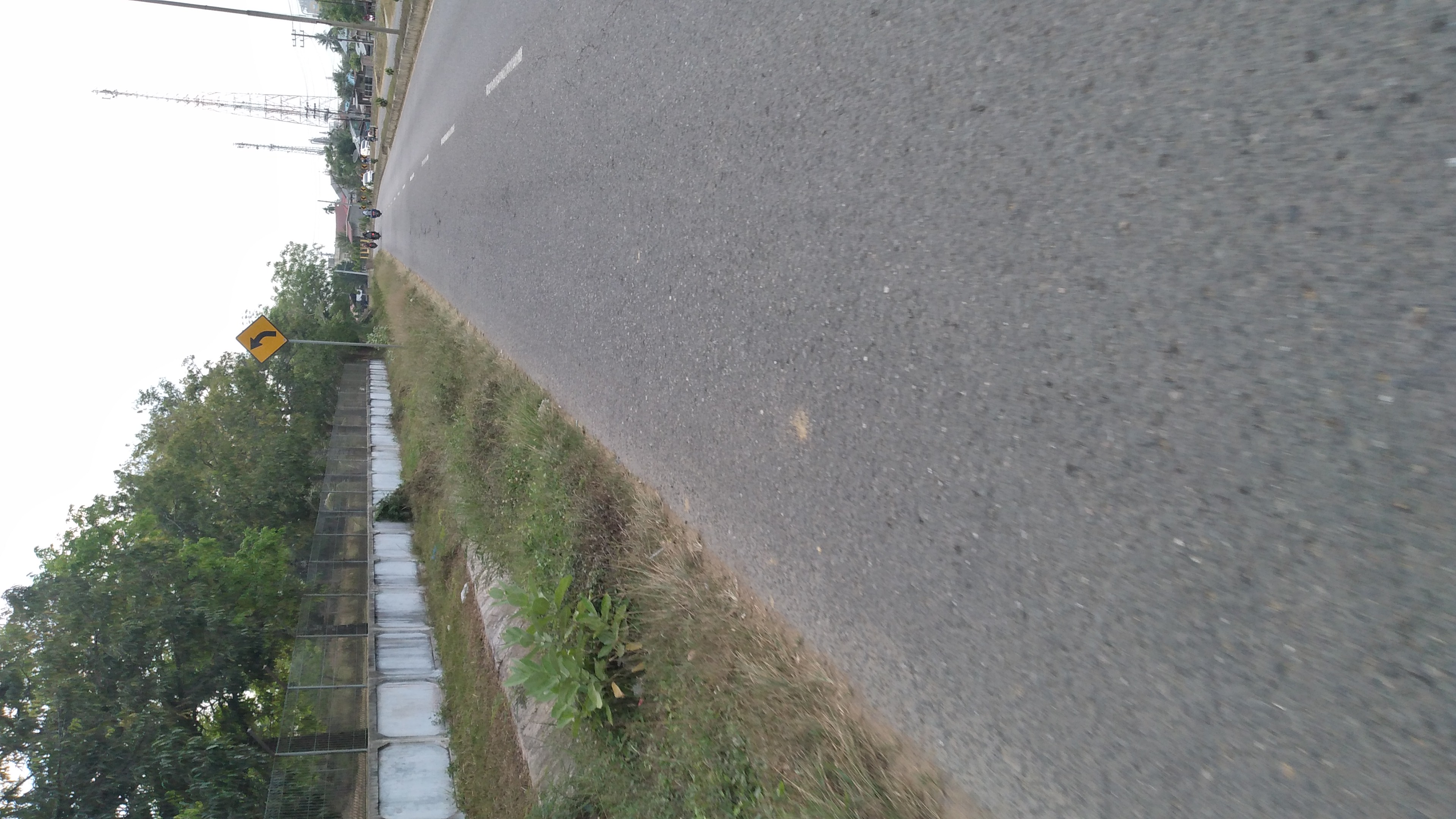 IMG-20230401-WA0003.jpeg