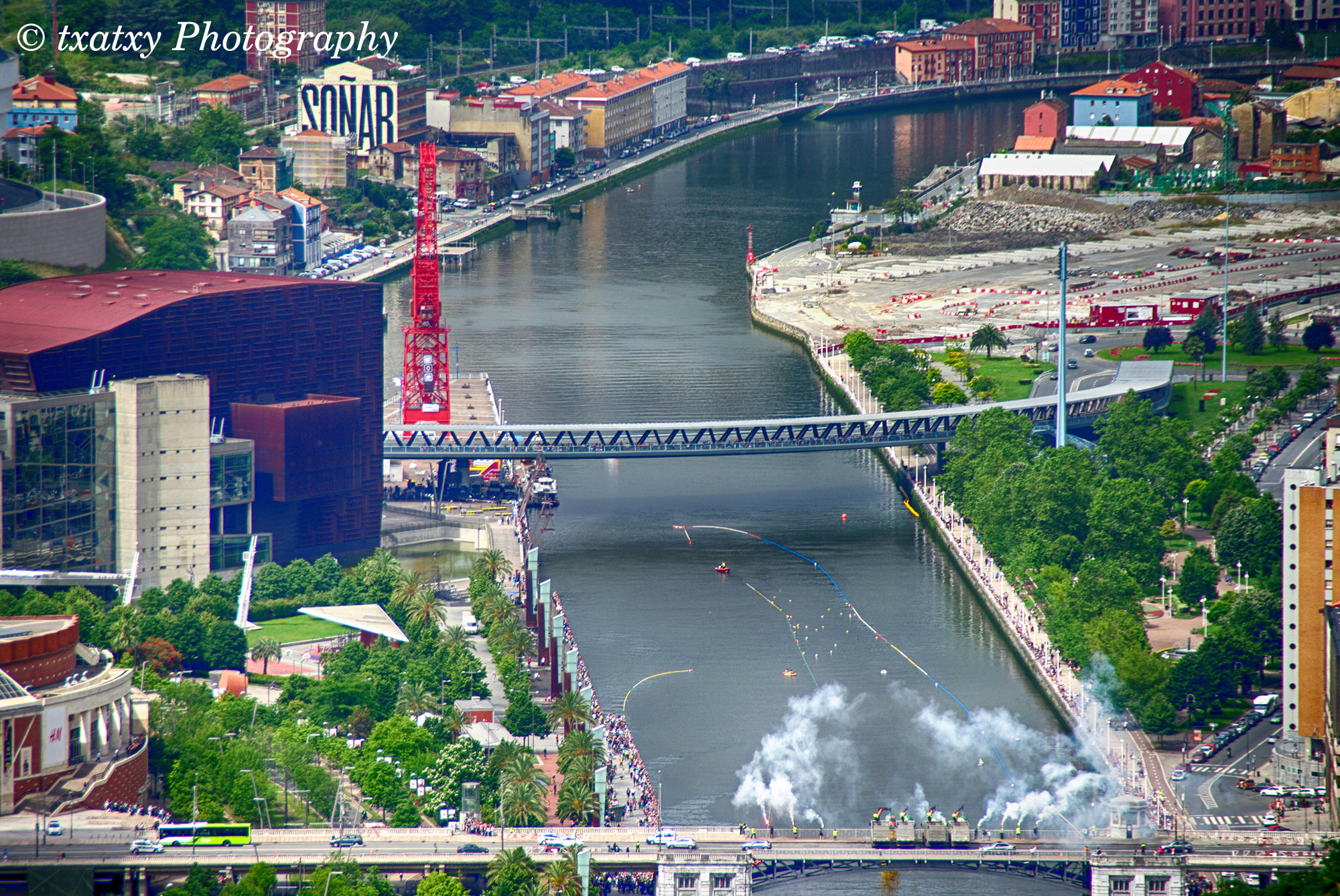 IMGP8031-1.jpg