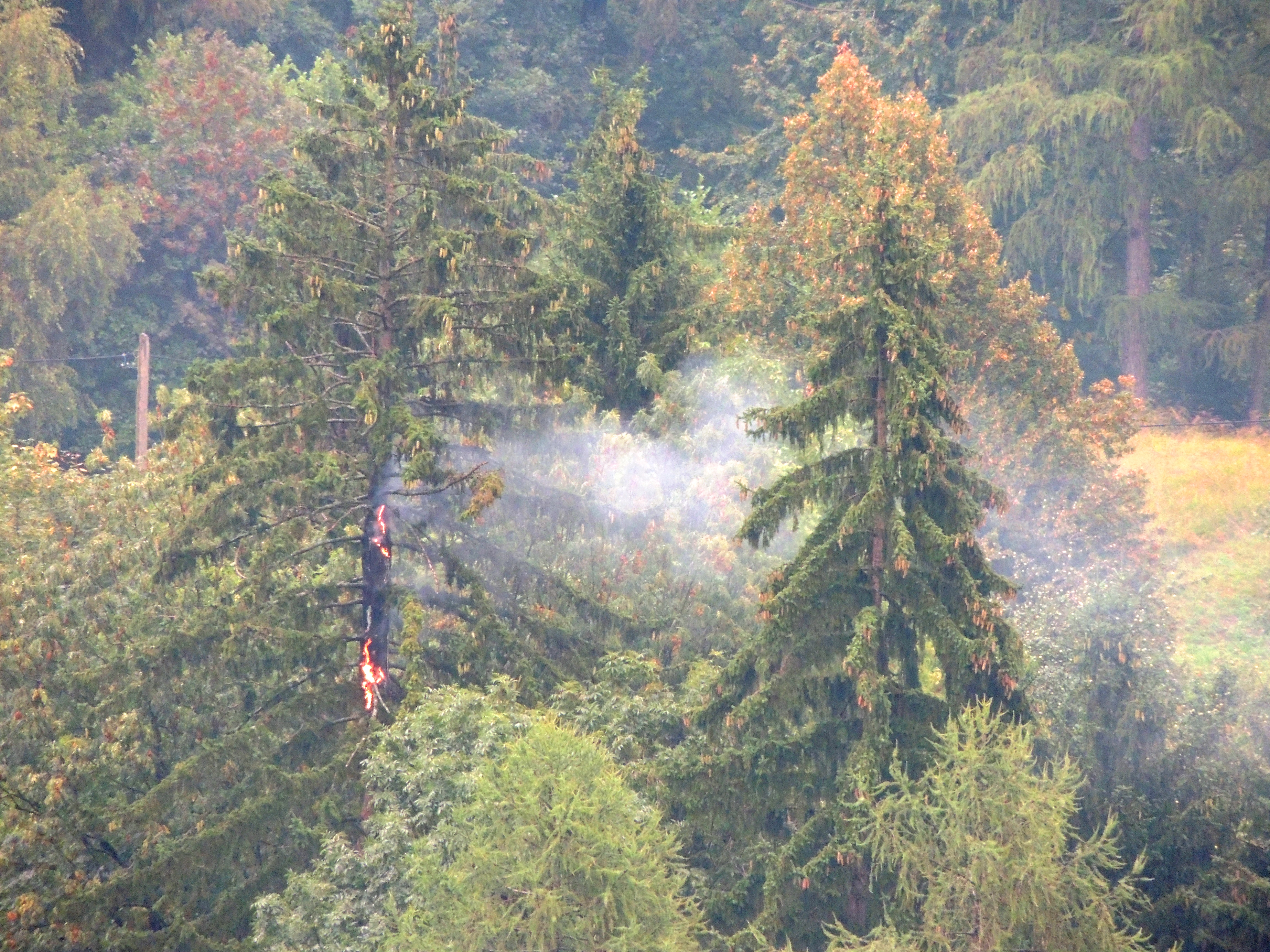 DSCN4393.JPG