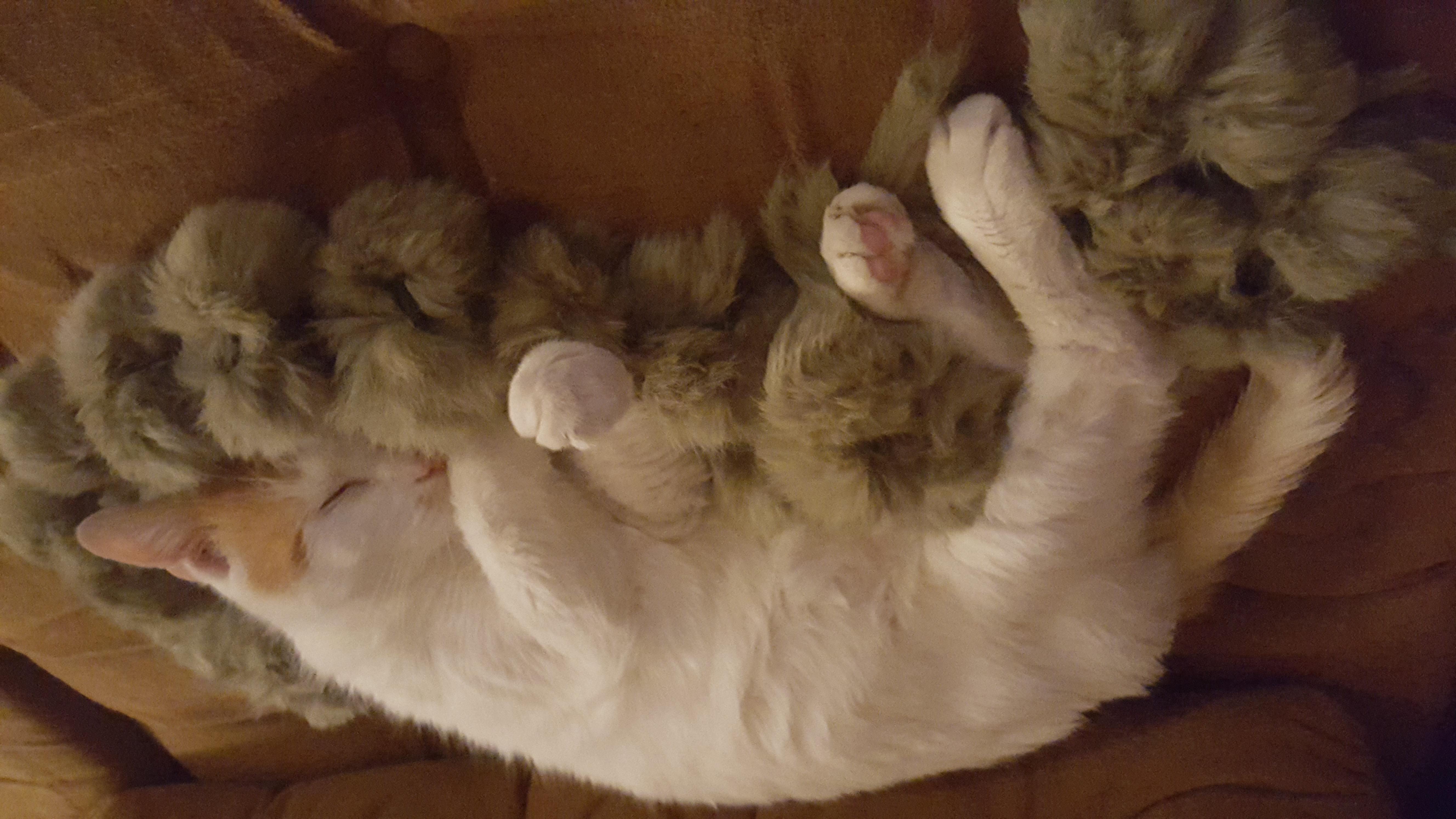 20160205_024302.jpg