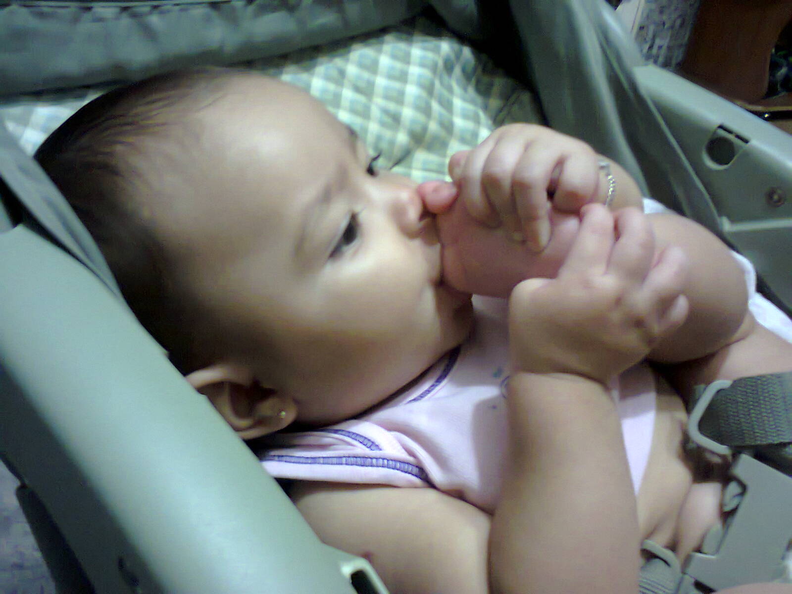 Foto0499.jpg