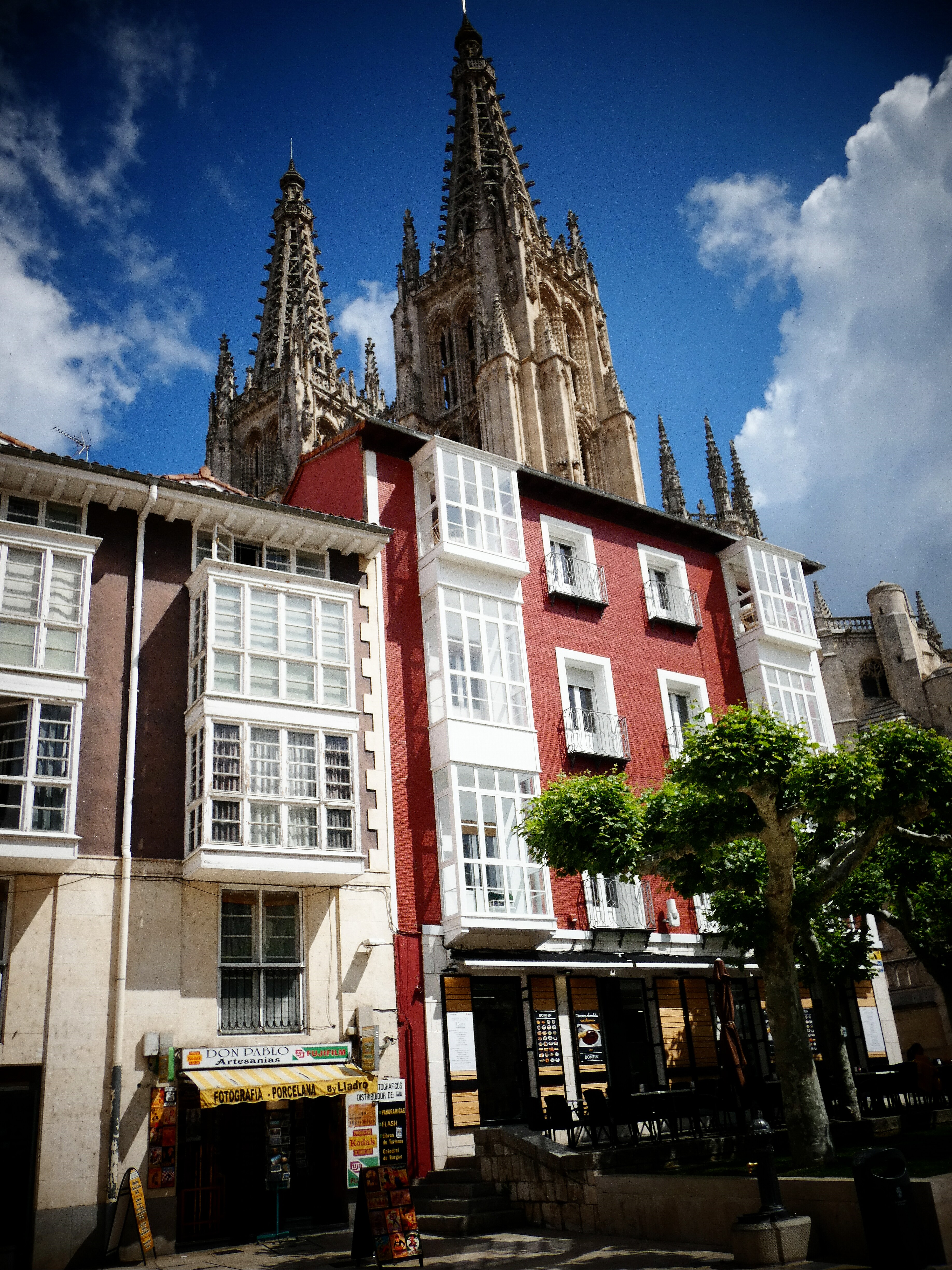 P1180383-7.jpg