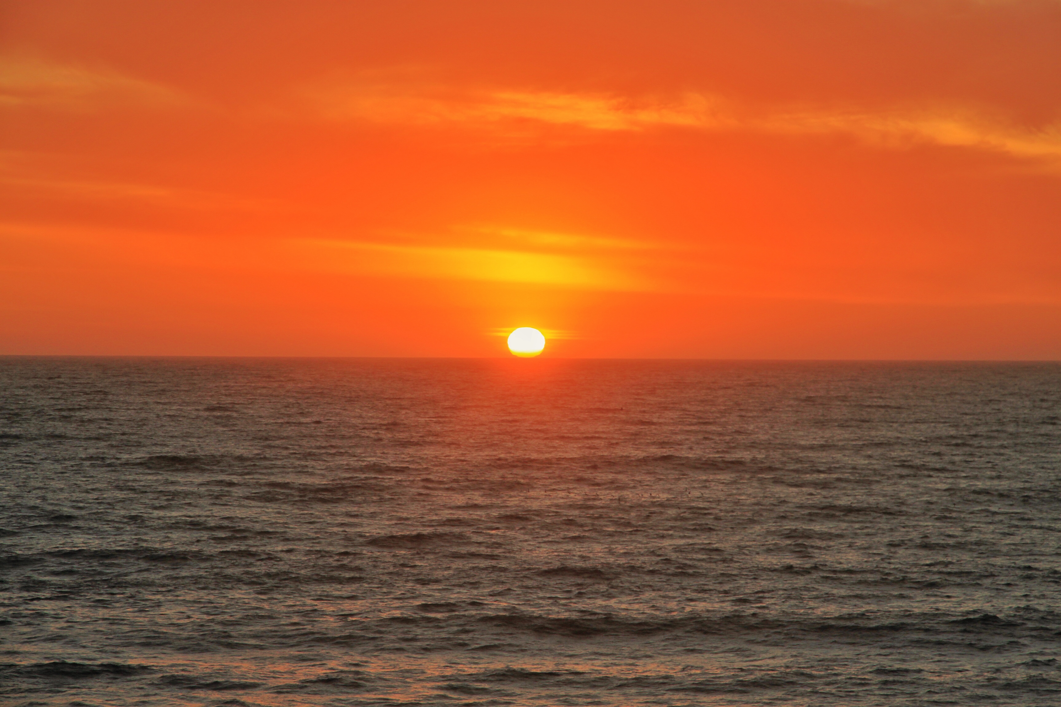 Pichilemu (12).jpg