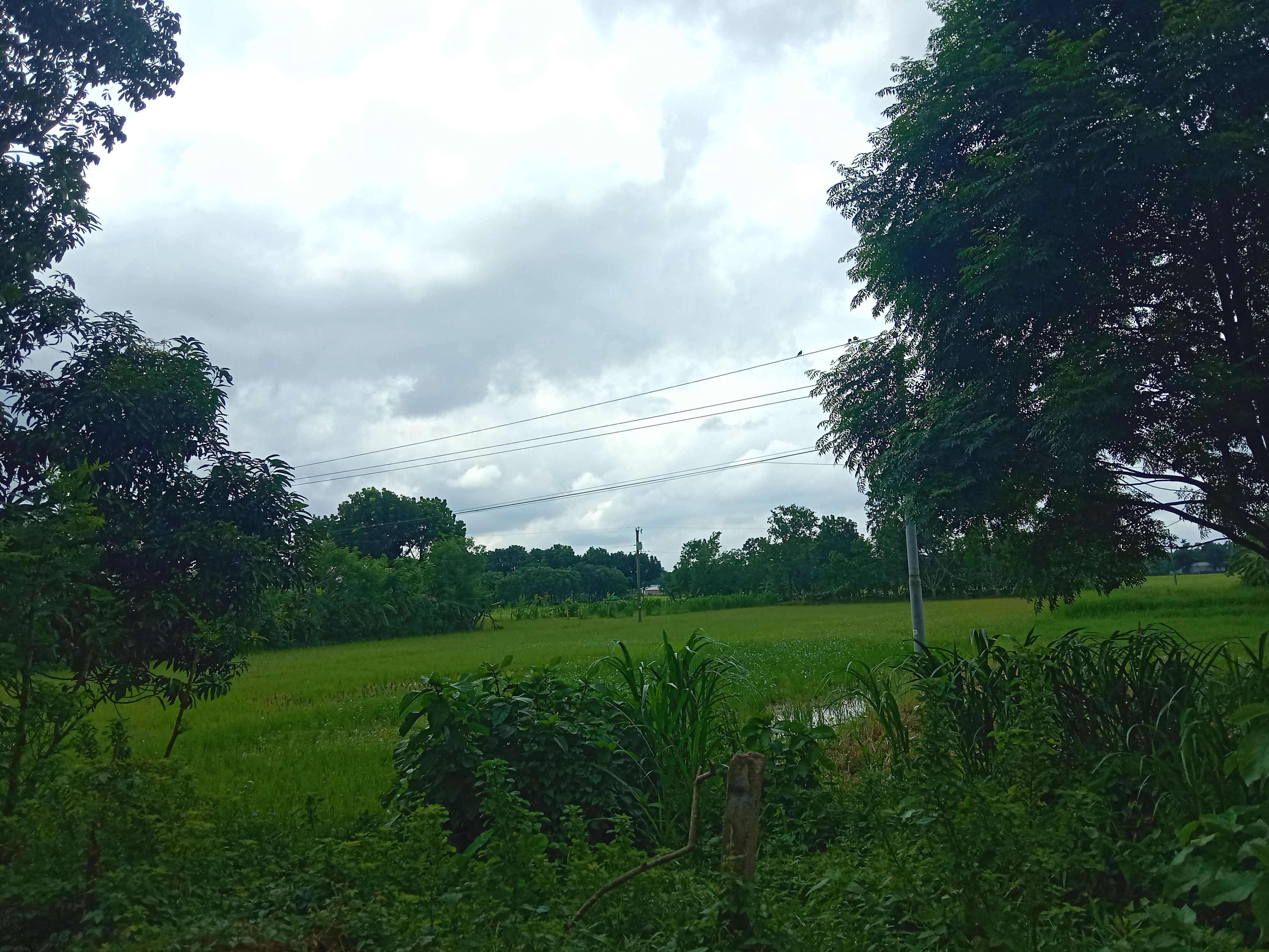 IMG_20260417_175535.jpg