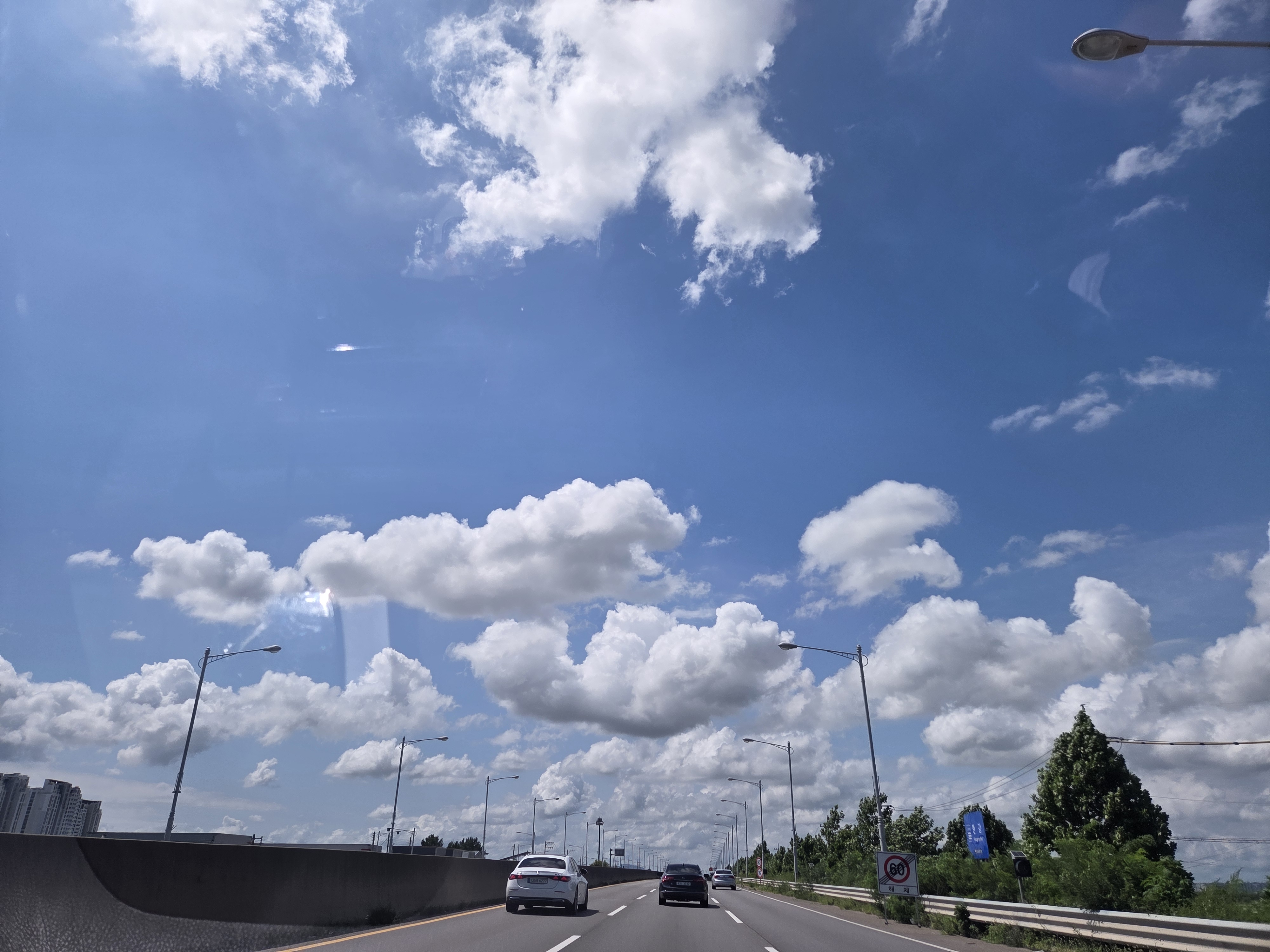 20260726_142520.jpg