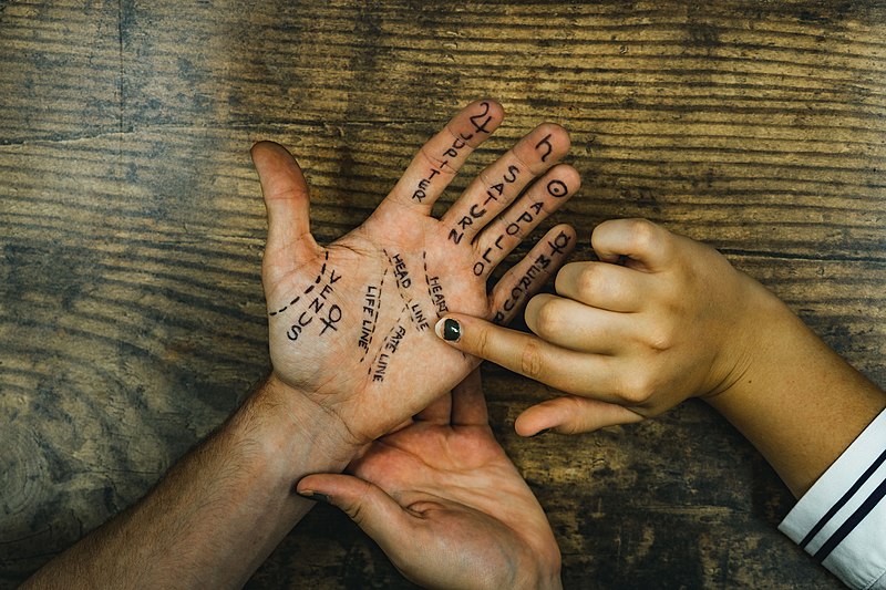 800px-Palm_Readings.jpg