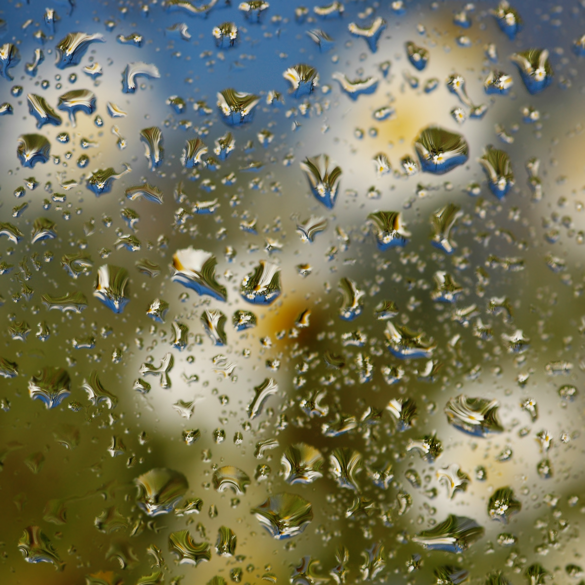 rainy-spotted-humid-glossy-water-drops.jpg