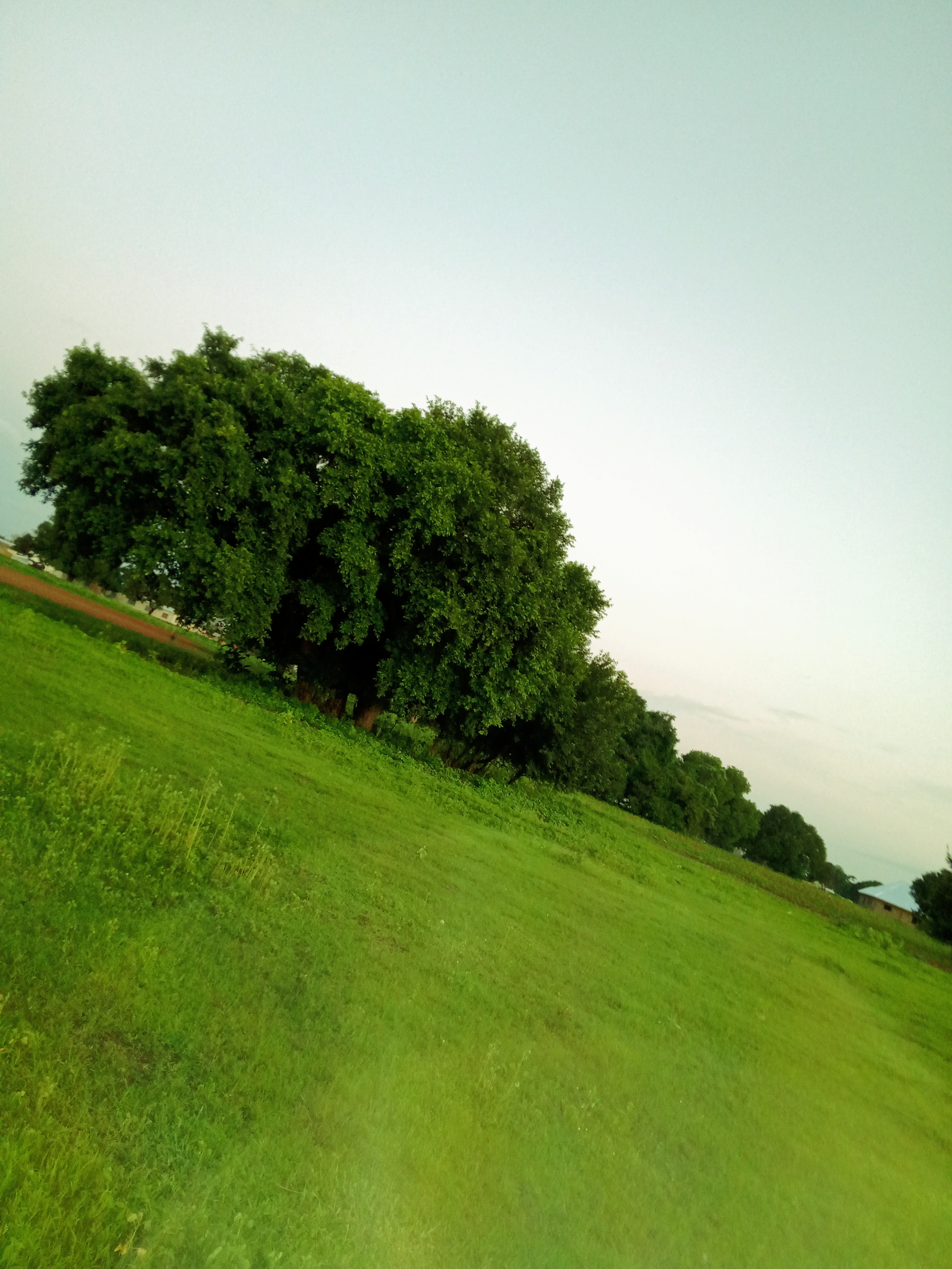IMG_20210801_183704~2.jpg