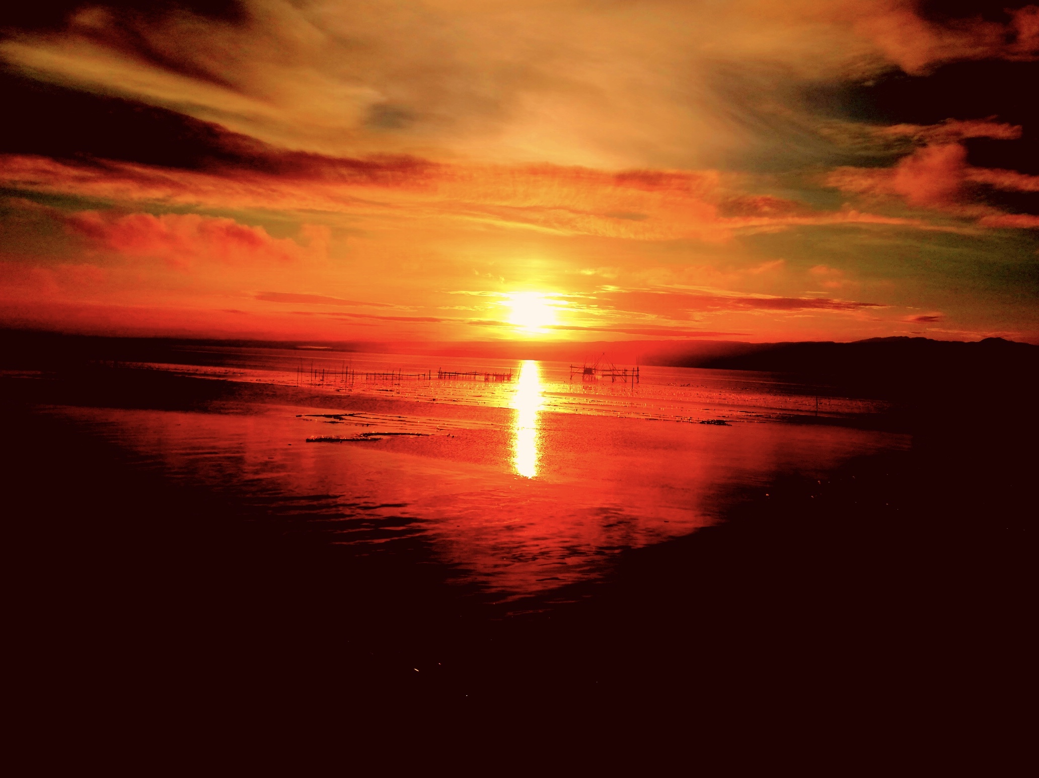 12A7BEDE-28C1-482A-BF21-F157F80670CE.jpeg