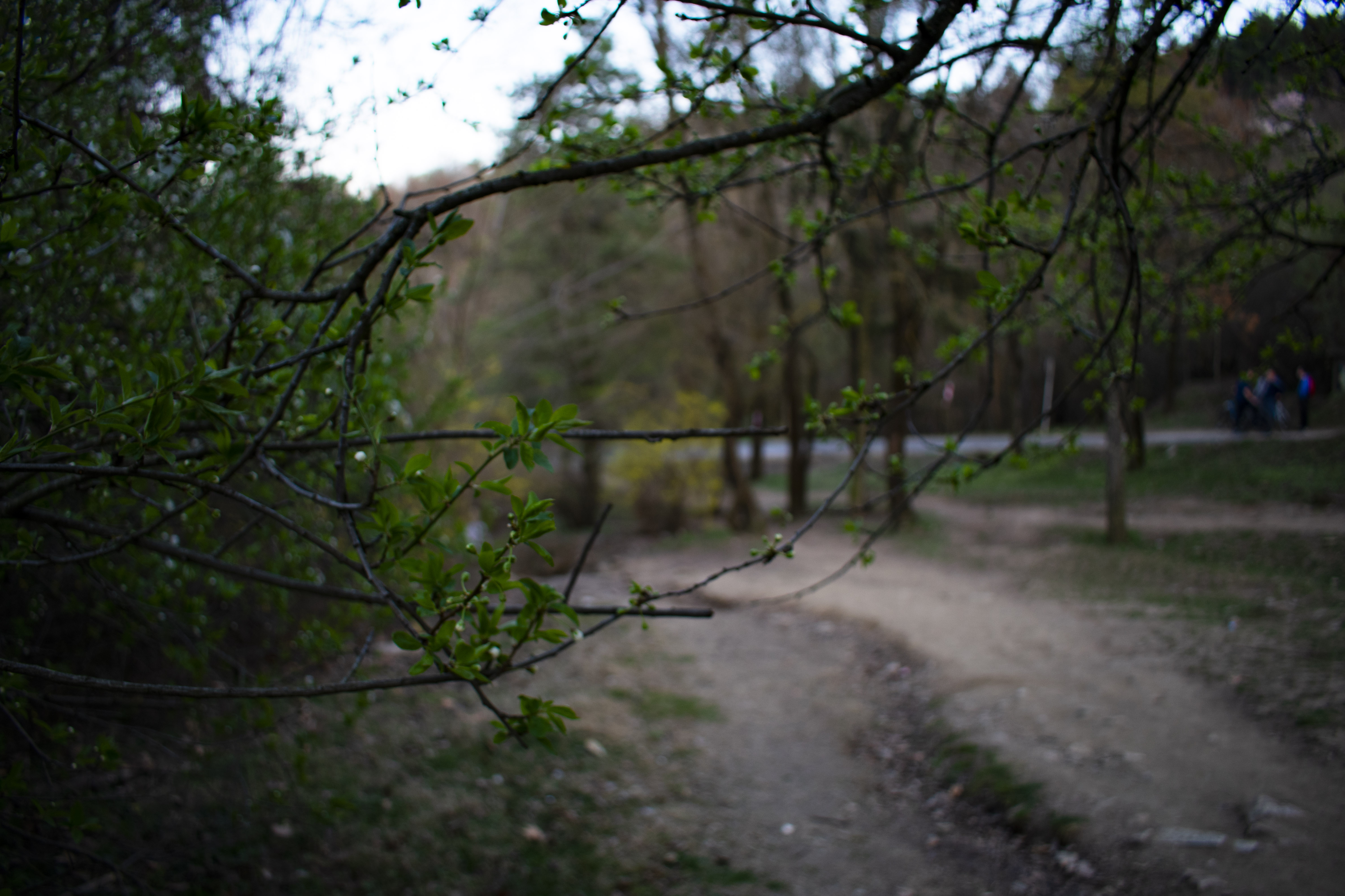 DSC_0032 (2).jpg