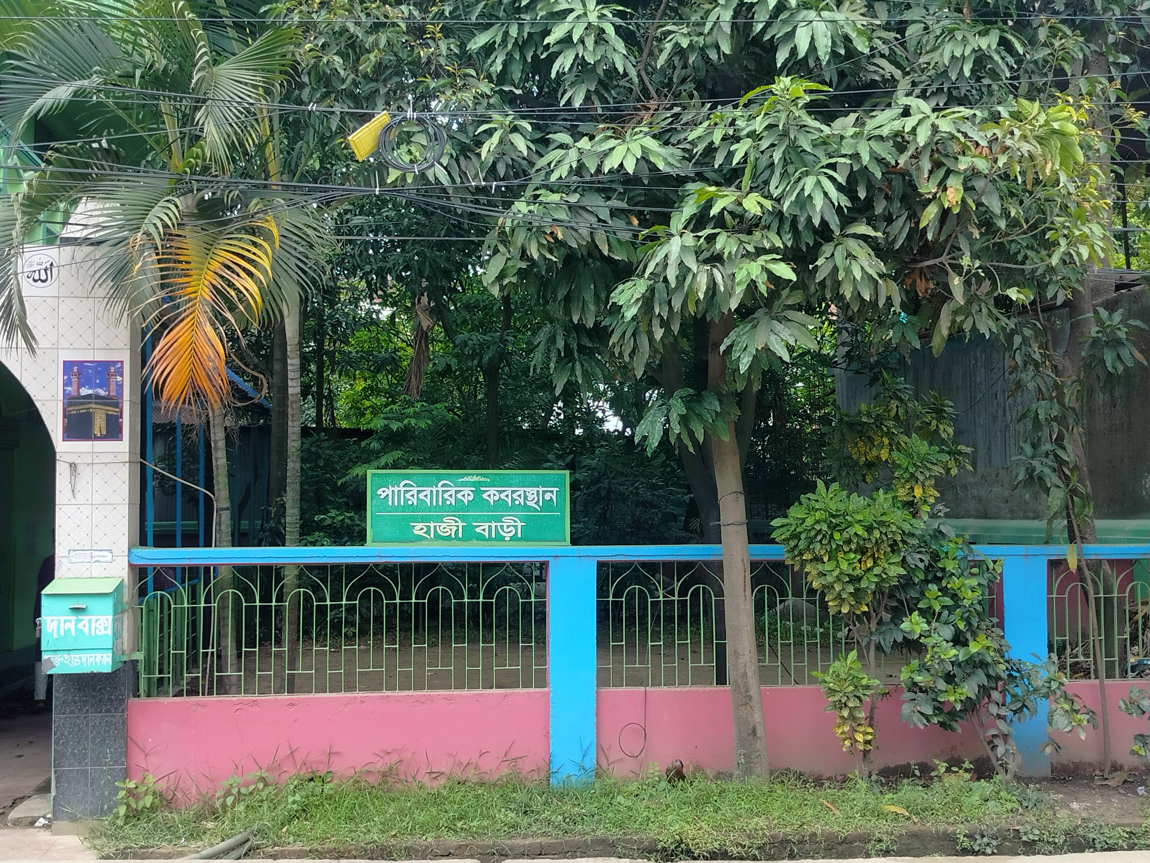 IMG20260703124924.jpg