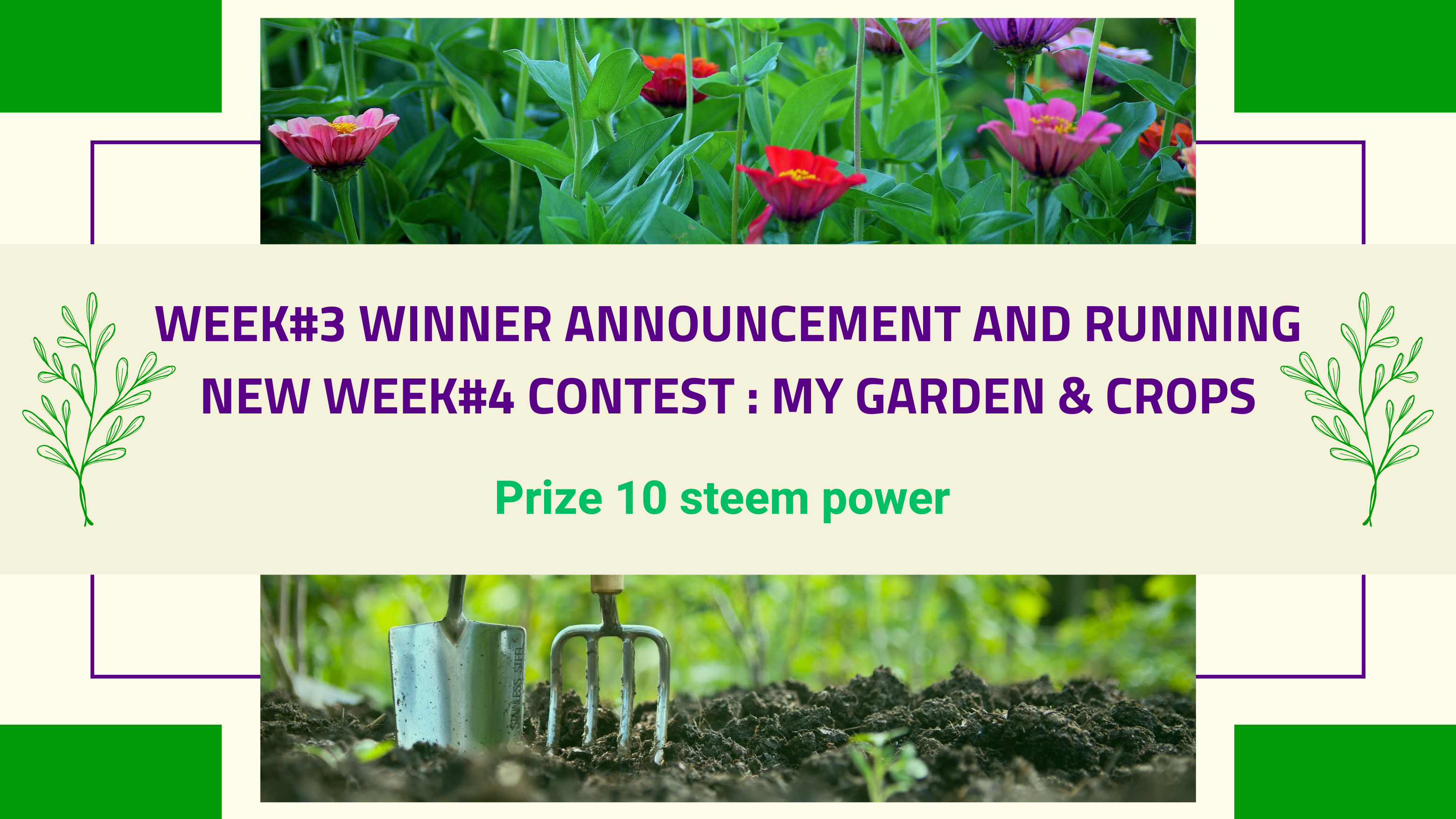Contest my garden & ceops(2).png