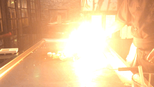 64F732A0-2E64-4FF2-AFA8-1949B044F999.gif