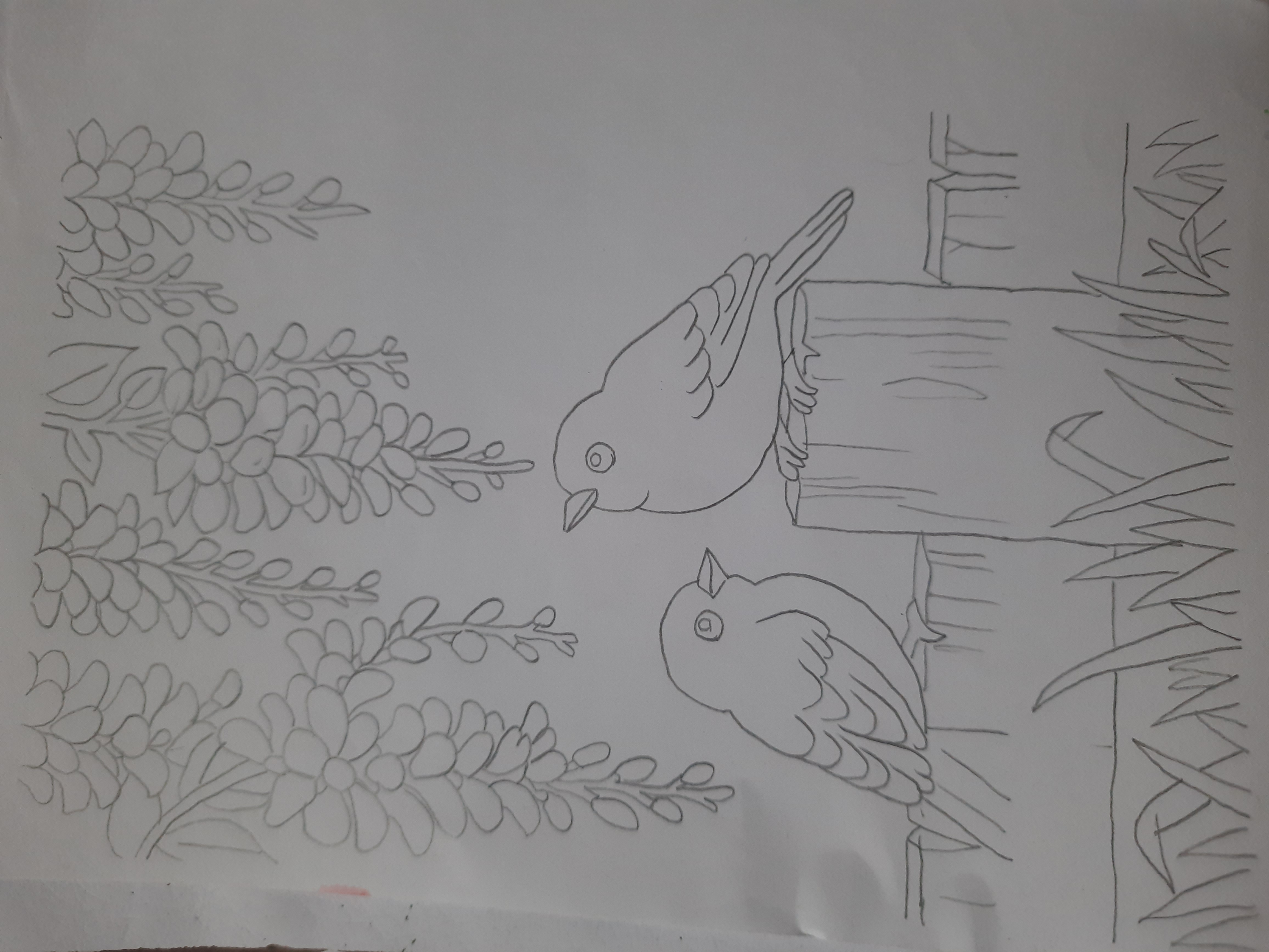 20260721_173558.jpg