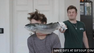 fishslap-1.gif
