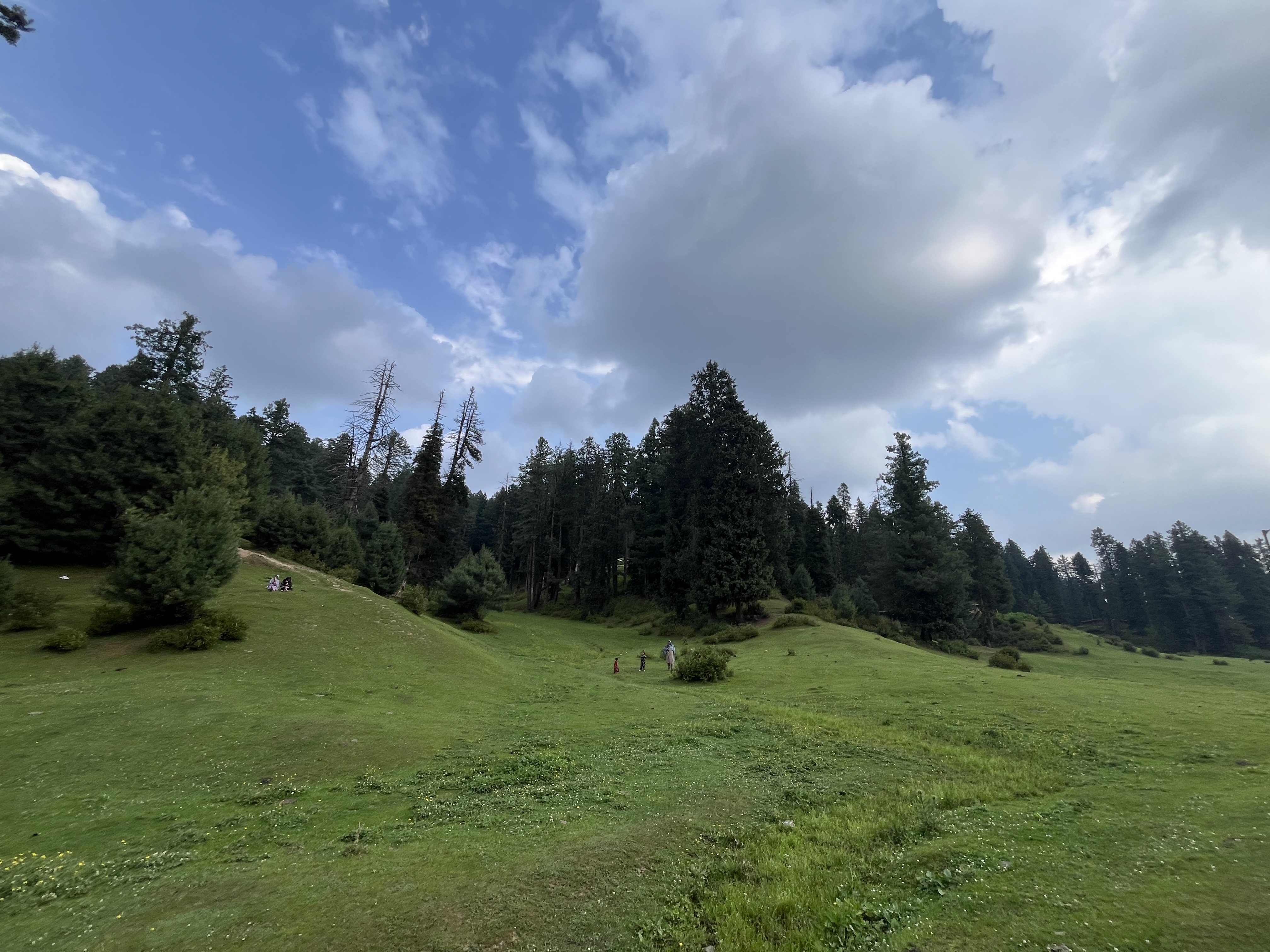 IMG_1050.jpeg